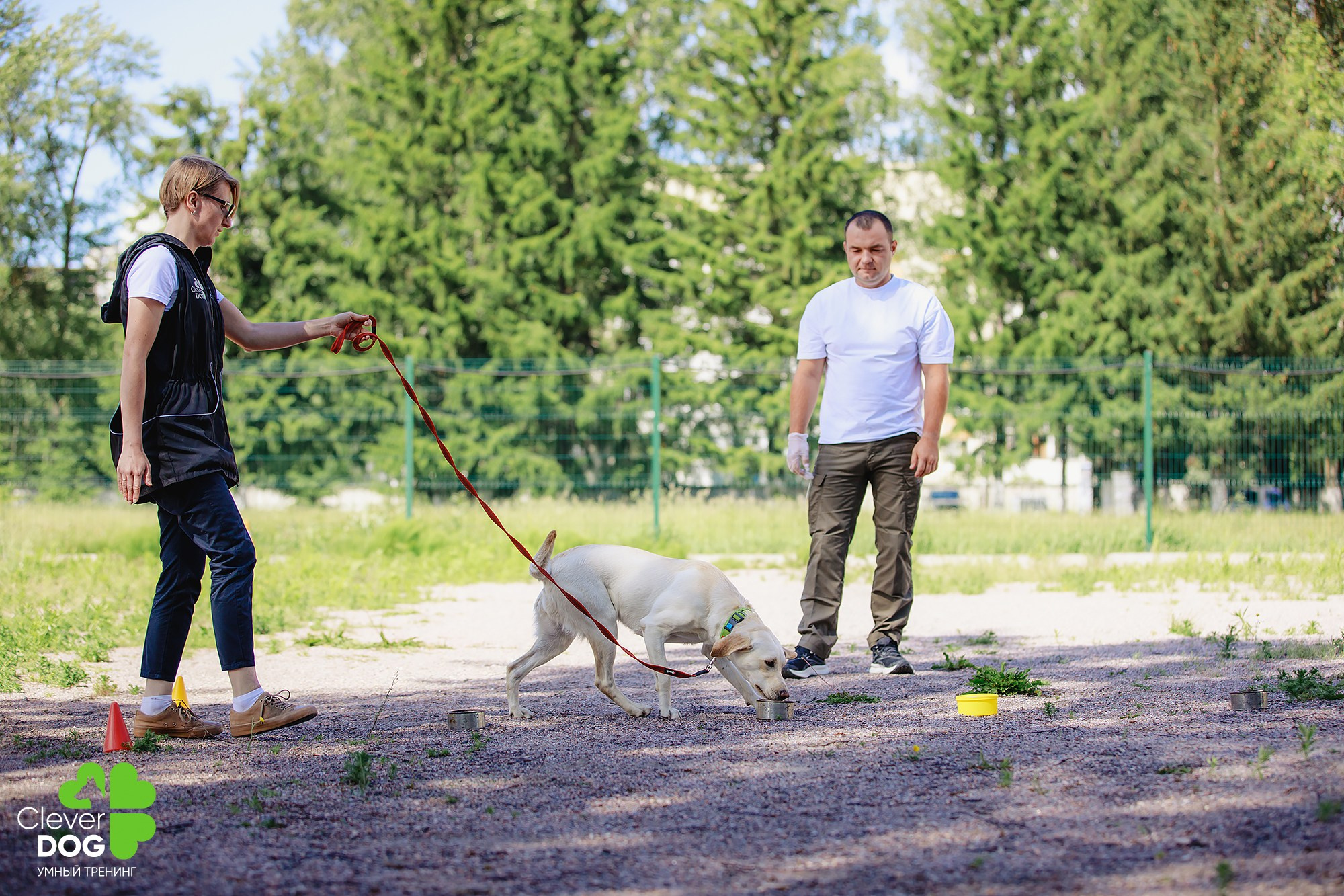 Семинар по поиску запаха с Иваном Ломовым, организатор CleverDog, СПб. Фотограф-анималист Mary Mart — Москва, Питер