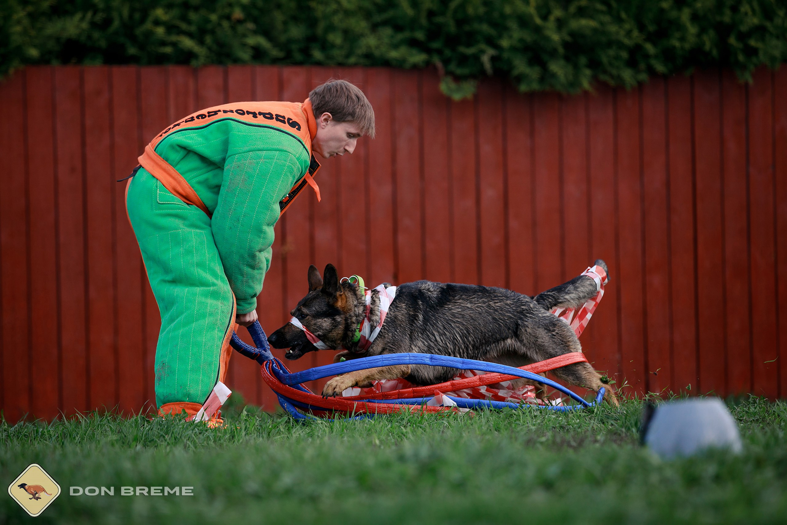 Семинар для фигурантов, день 2. Фотограф-анималист Mary Mart — Москва, Питер