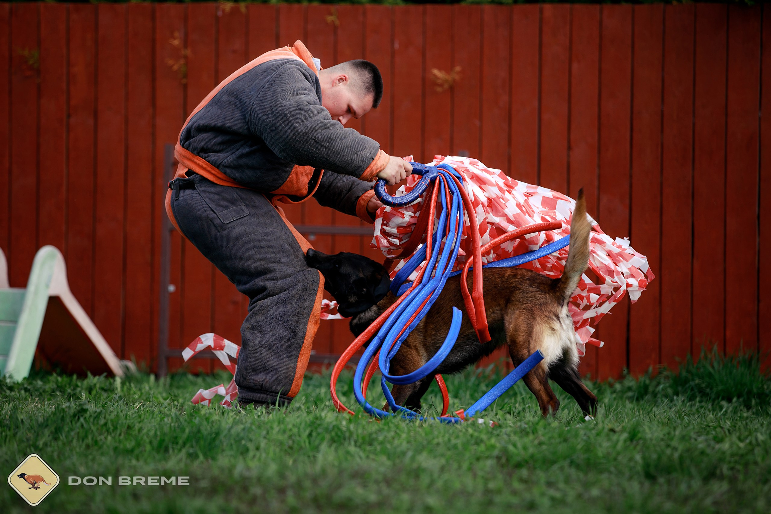 Семинар для фигурантов, день 2. Фотограф-анималист Mary Mart — Москва, Питер