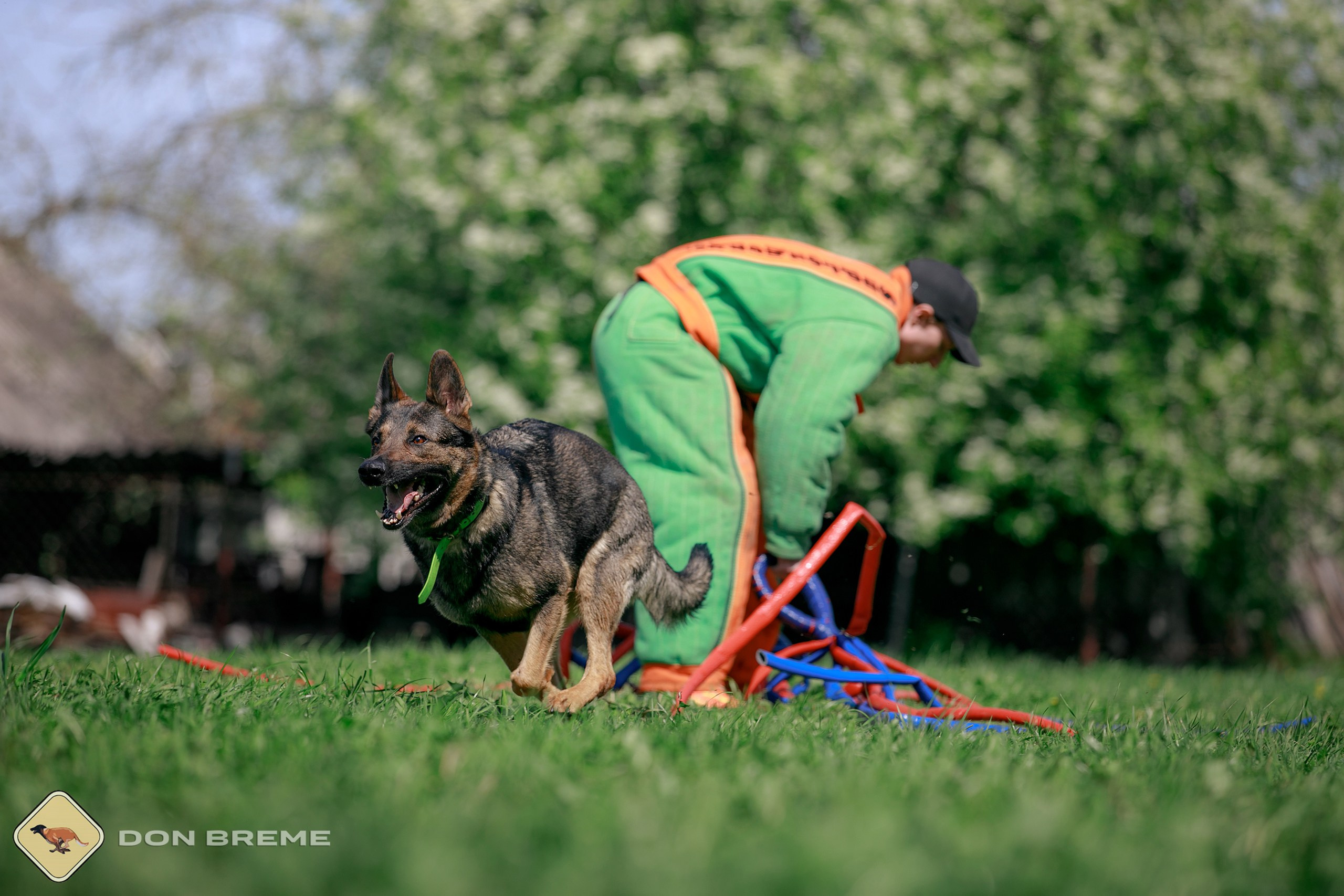 Семинар для фигурантов, день 4. Фотограф-анималист Mary Mart — Москва, Питер