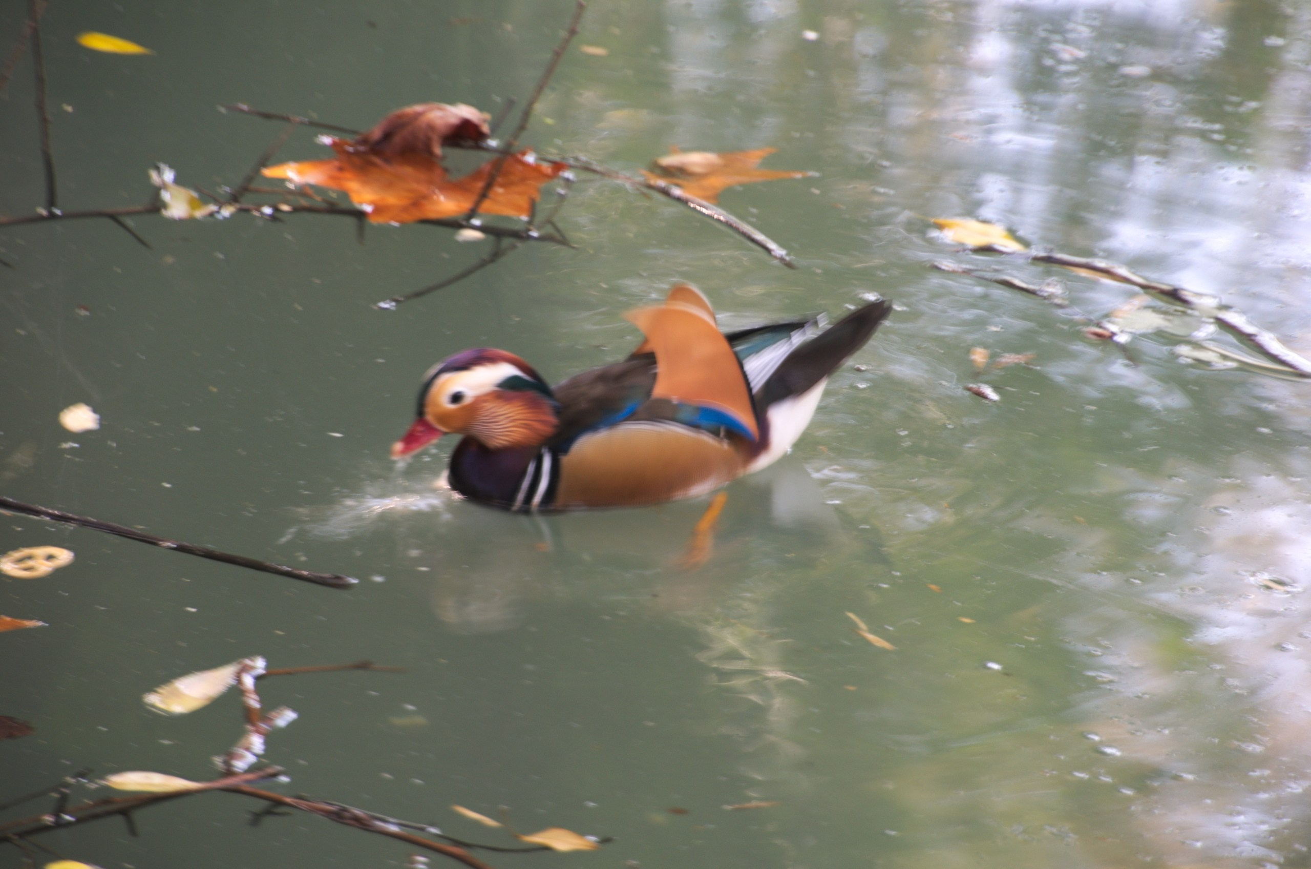 Сочи | 05-06.10.2019. Галерея Фантим
