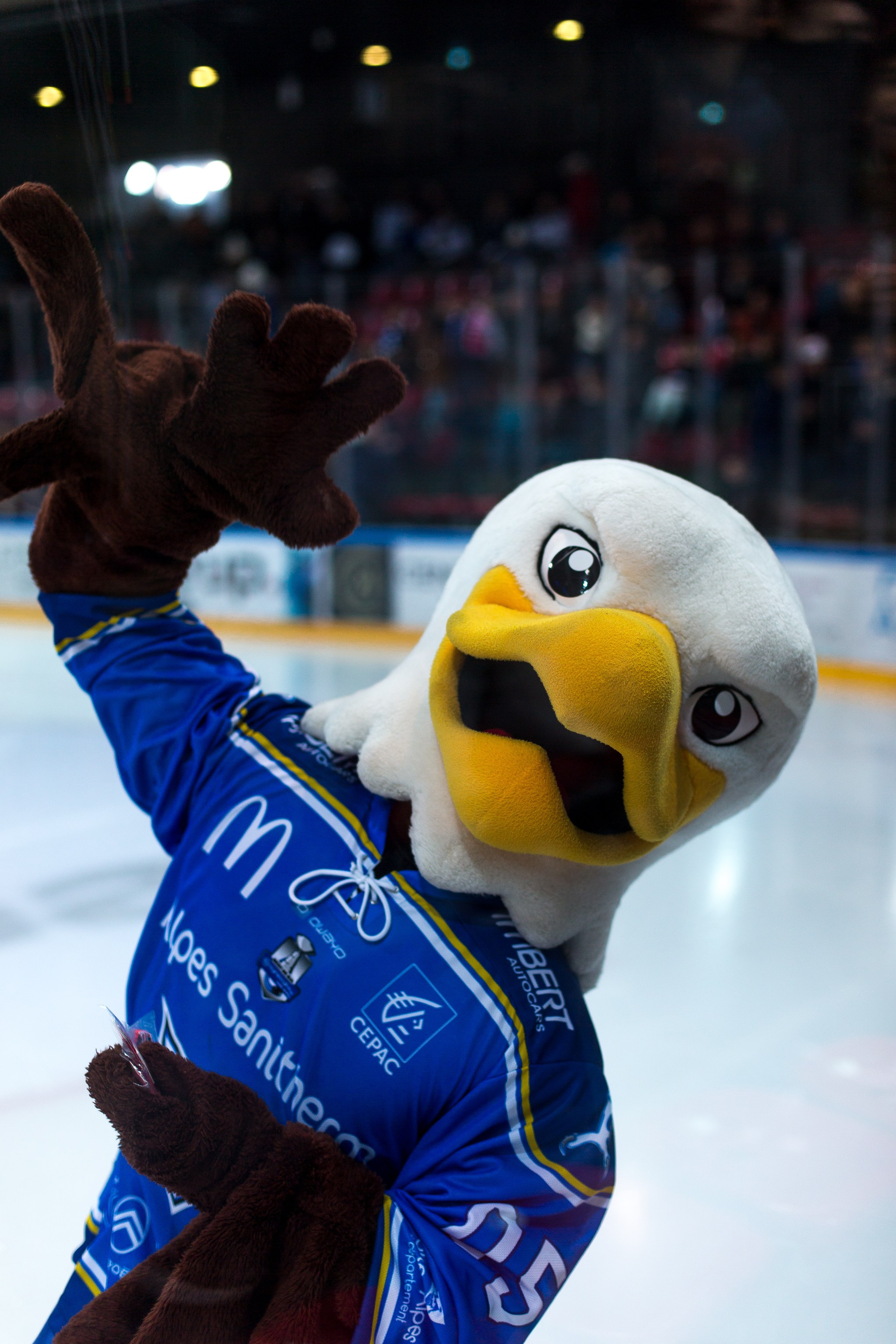 Хоккейный матч