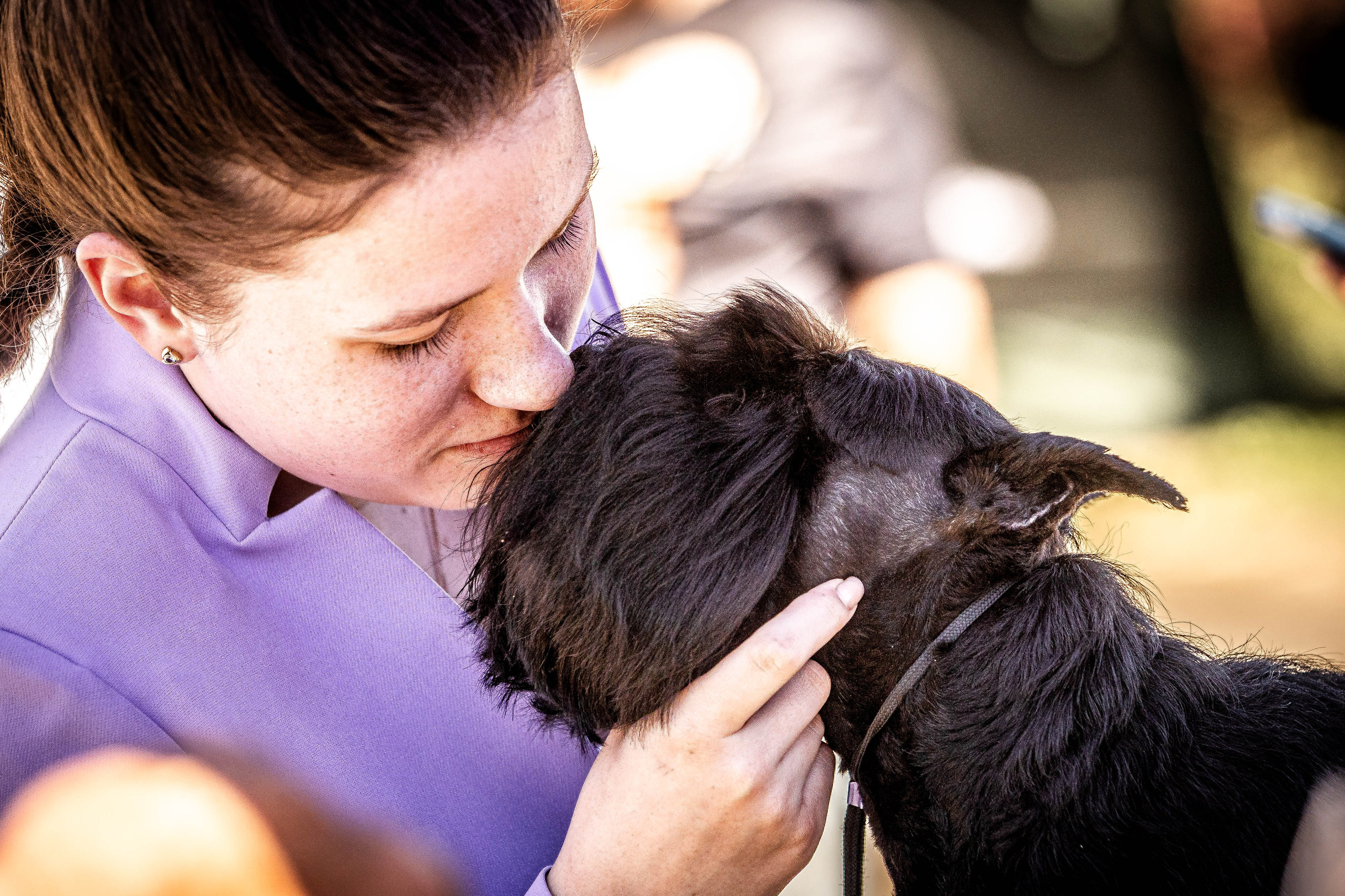 Репортаж (фото с выставок). Фотограф-АниМалист Анна Абрамова