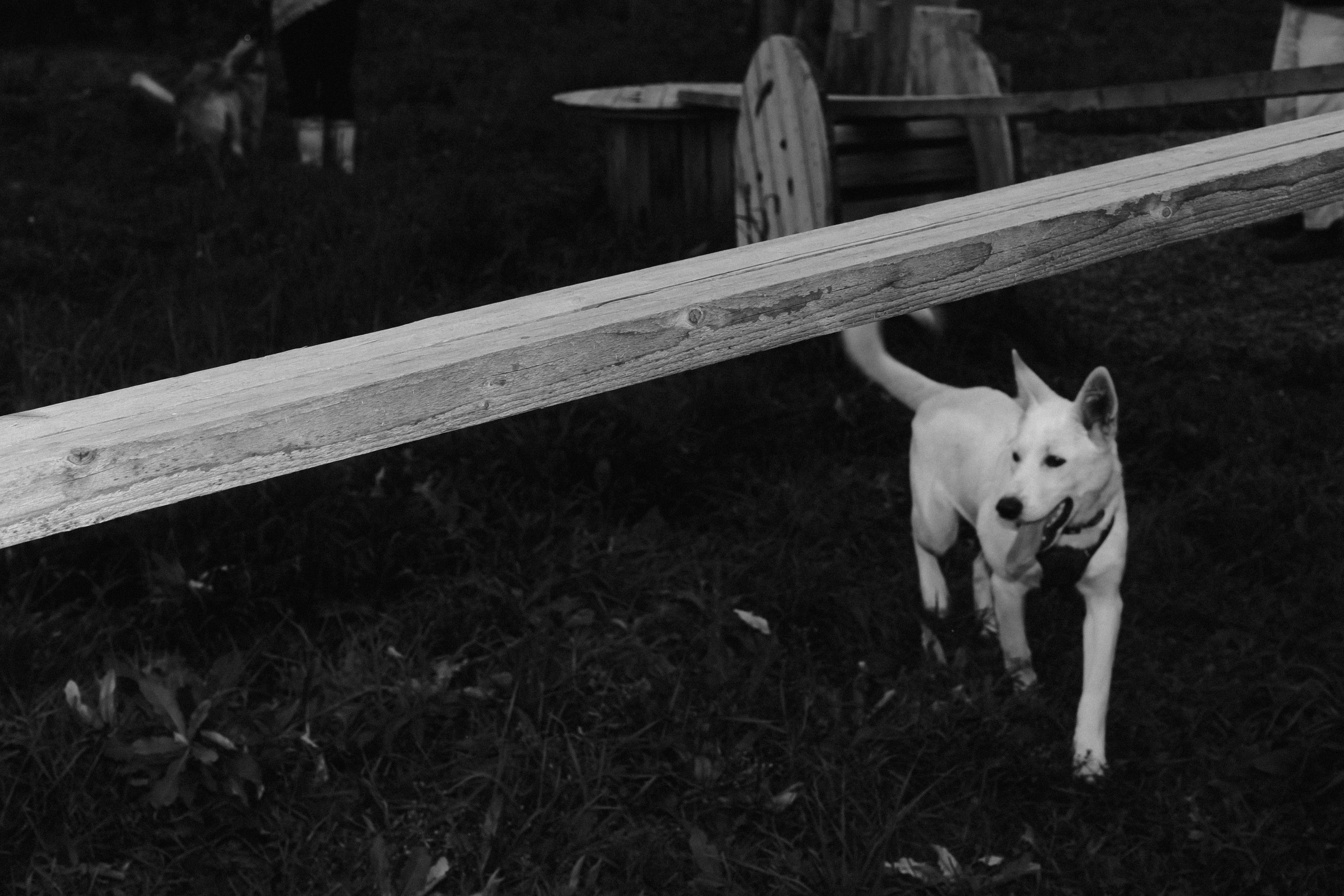 Улица Балтийская. Veronika Popadeikina Photographer