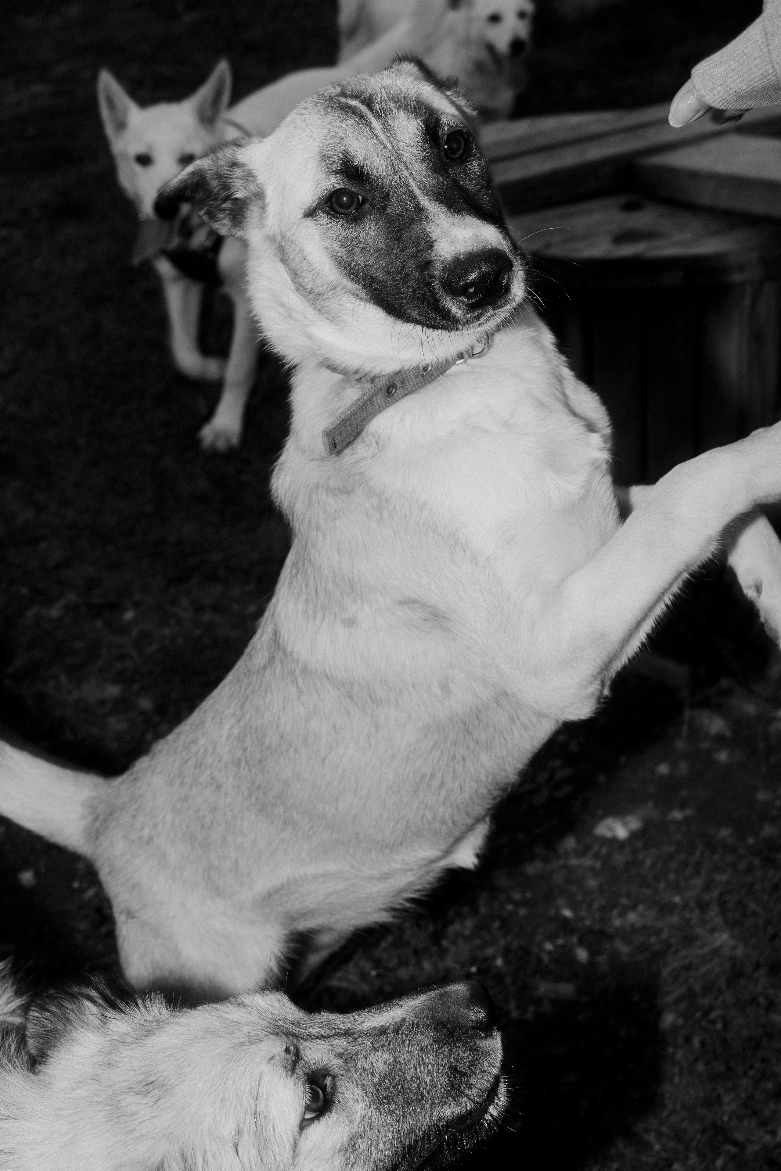 Улица Балтийская. Veronika Popadeikina Photographer