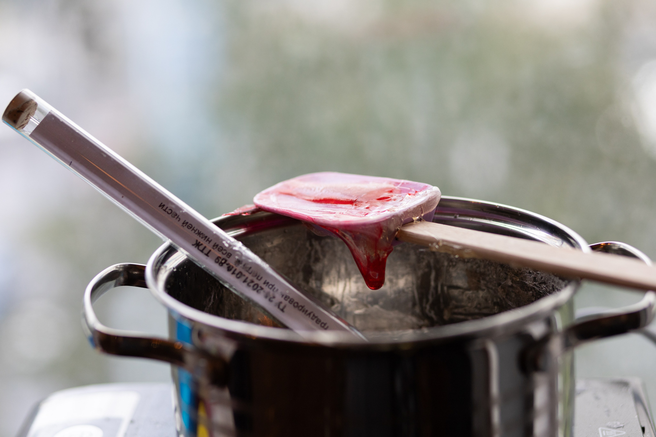 Детский День Рождения. Мастер-класс по изготовлению леденцов. Марина Лавинская Фотограф из Москвы