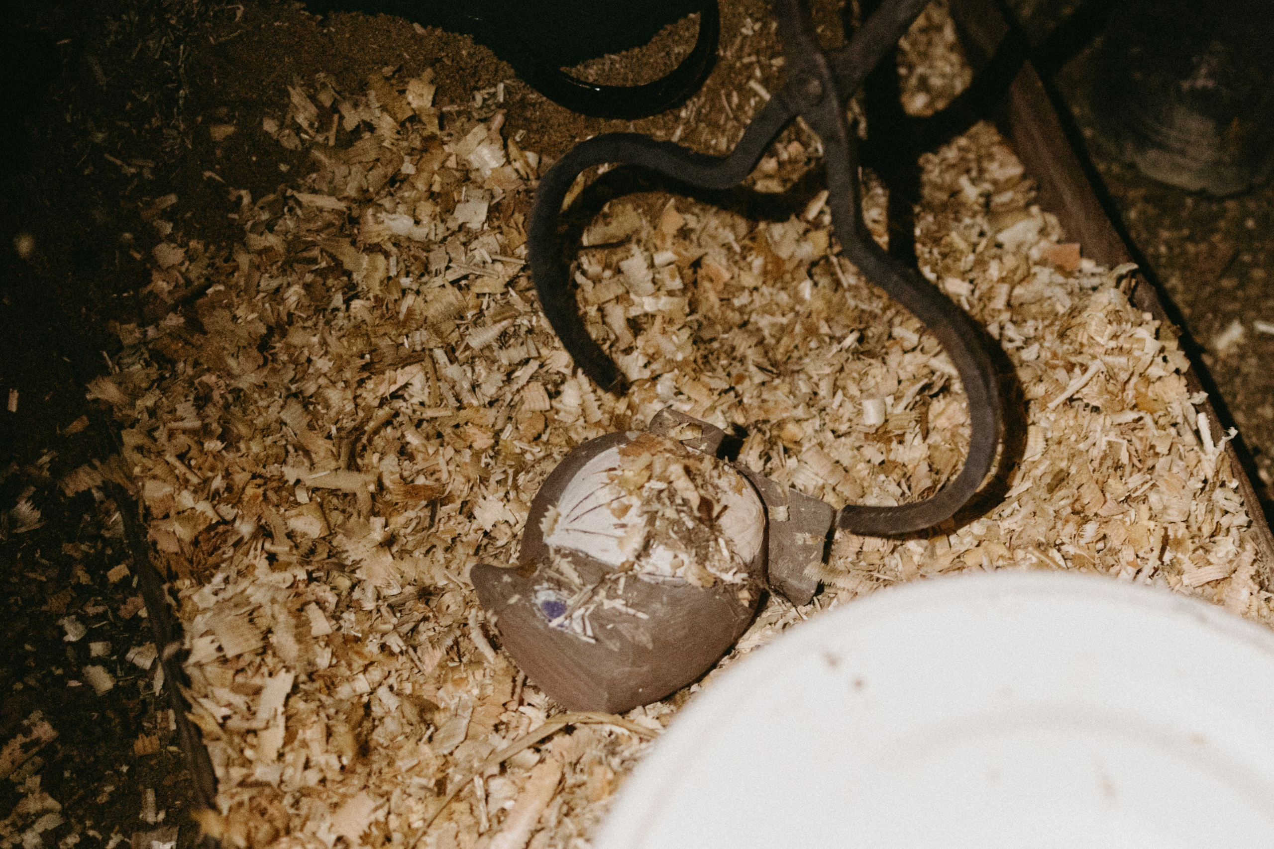 Новые земли. Про любовь