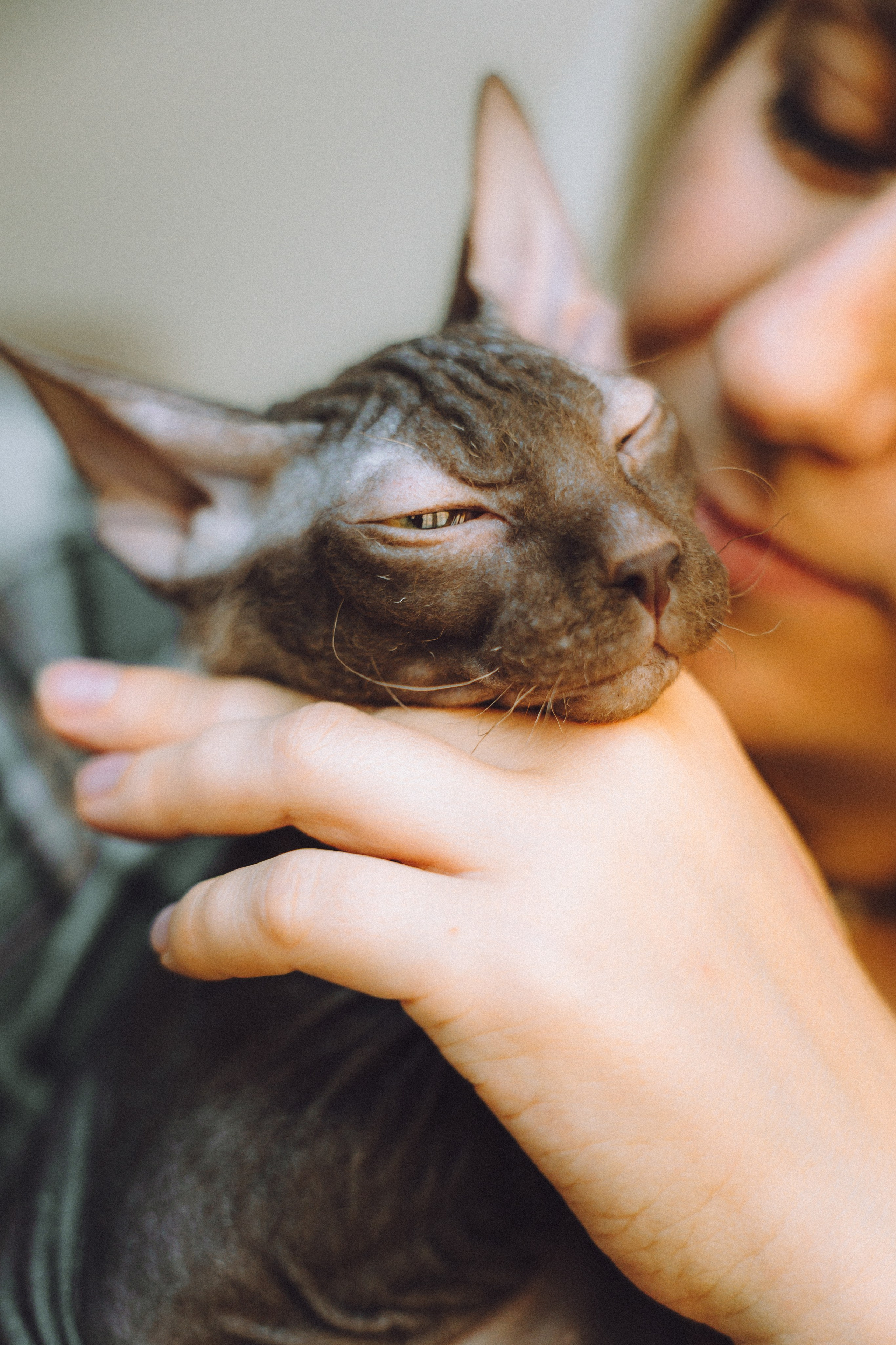 Кокос, Света, Динара и Вилли