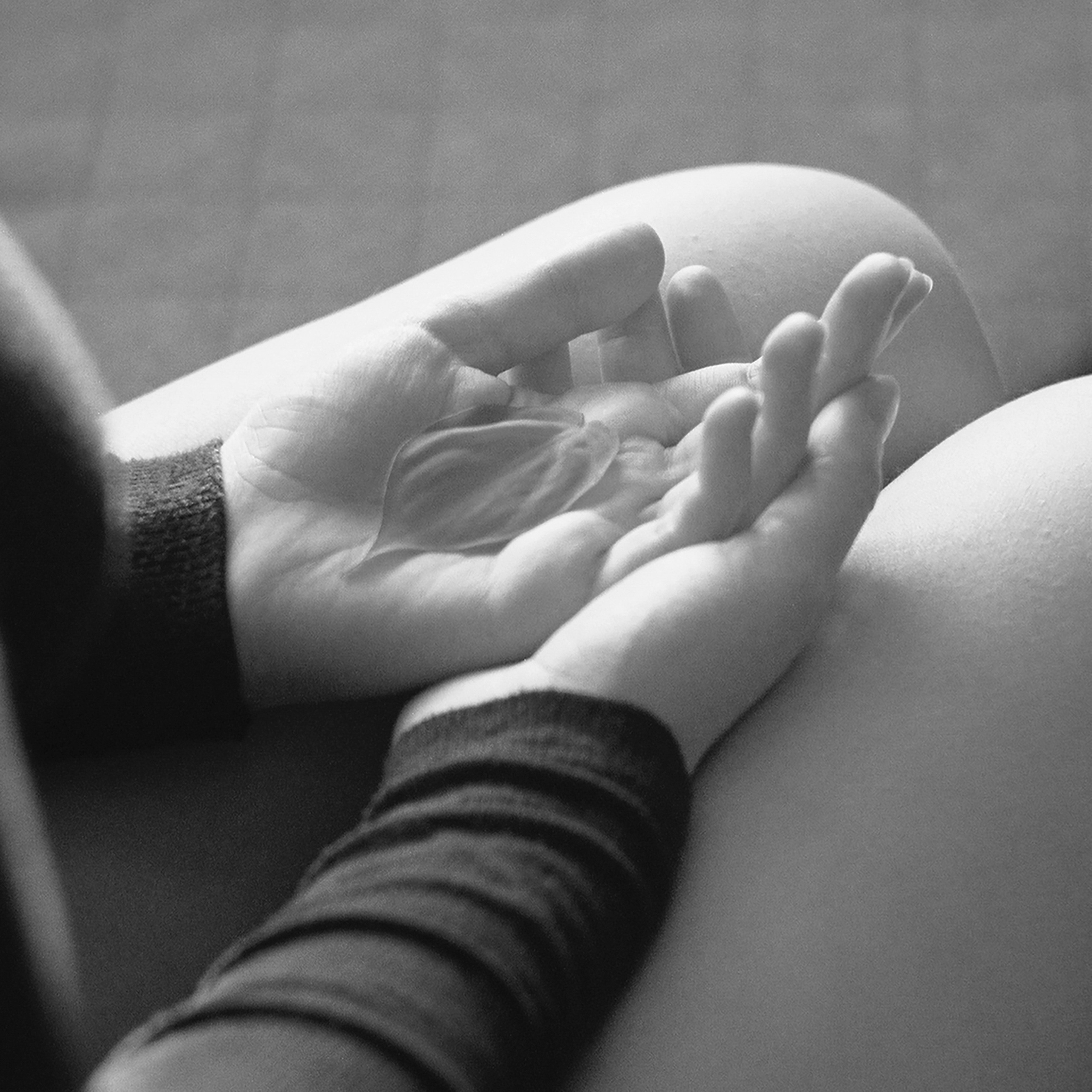 Юля Германович | Сад. Private image