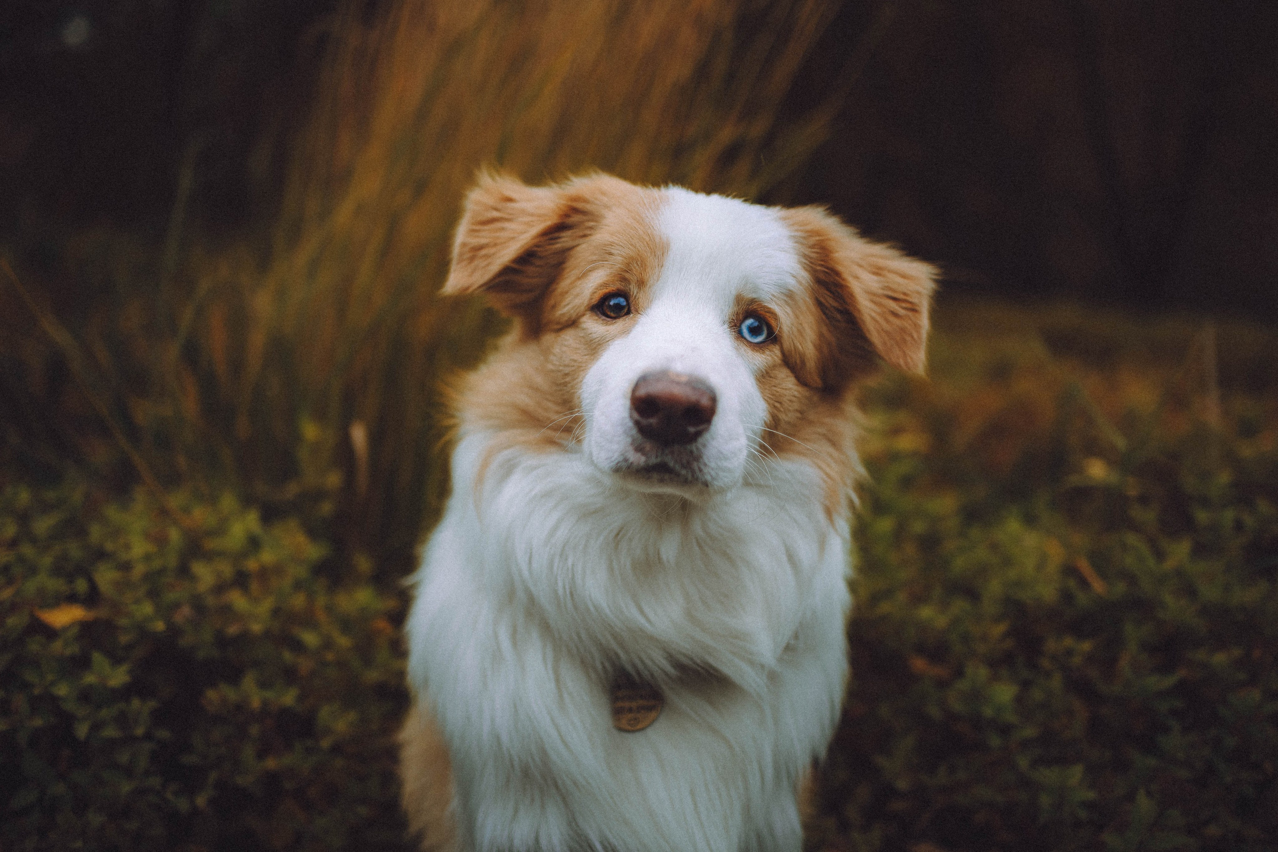 Алина, Витя и Асти