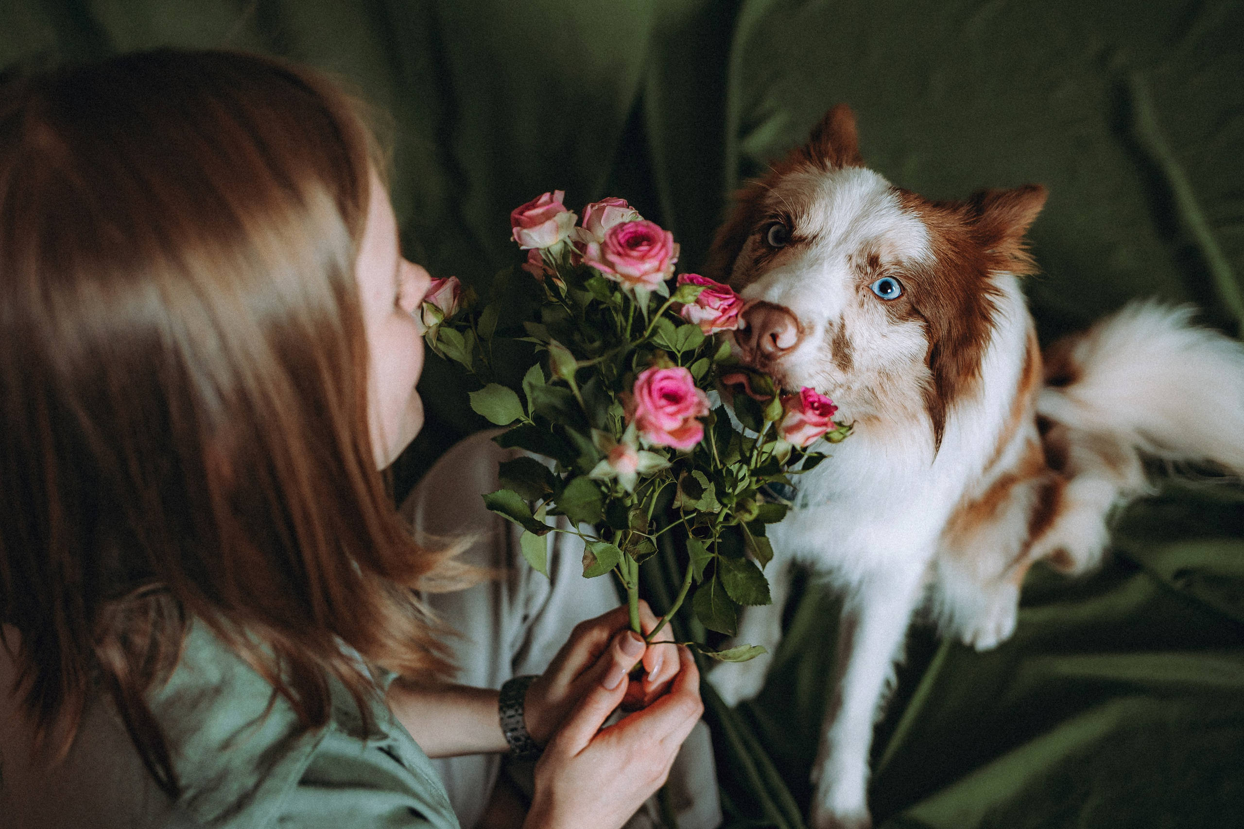 День рождения Айко