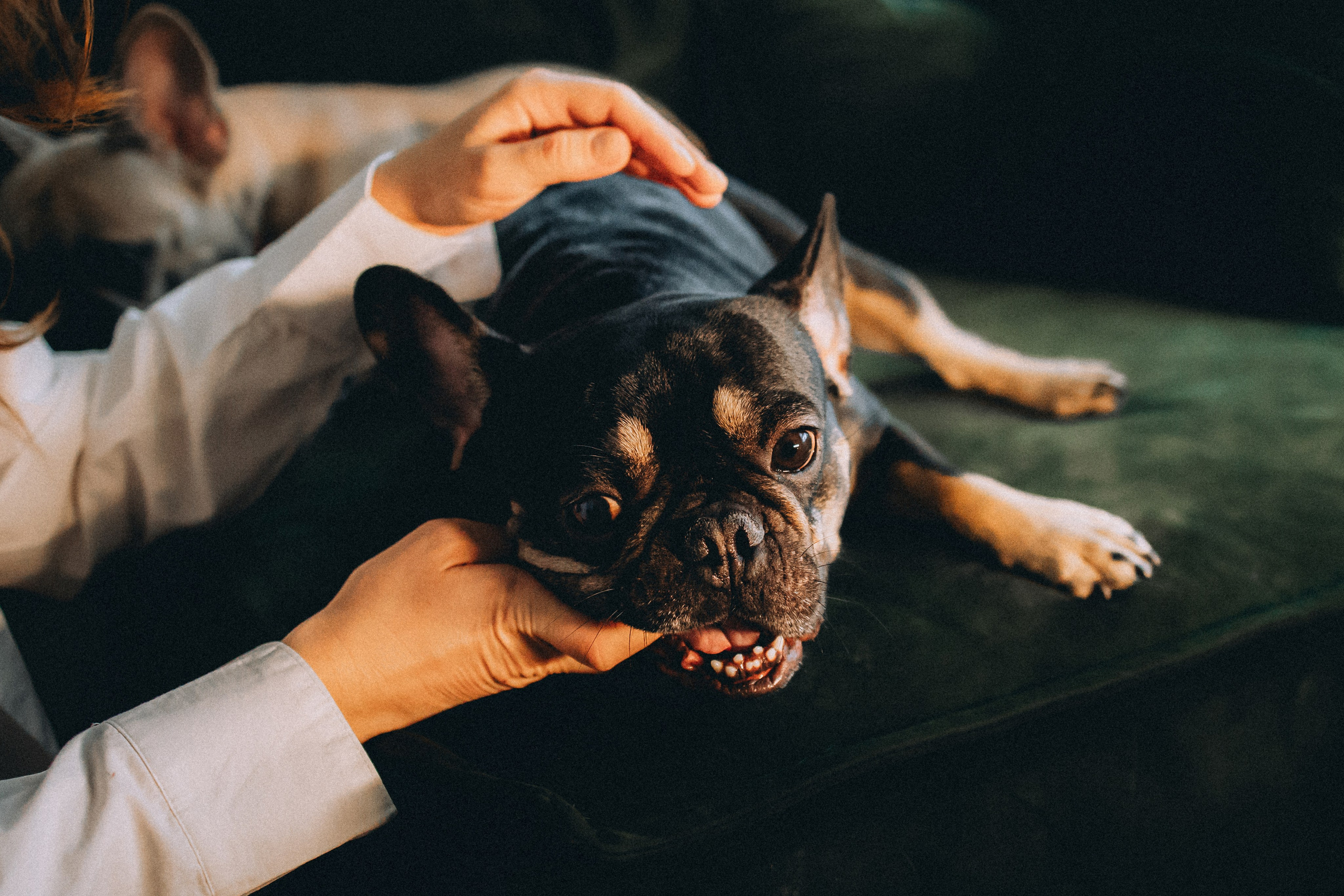 Юля, Мия и Зек