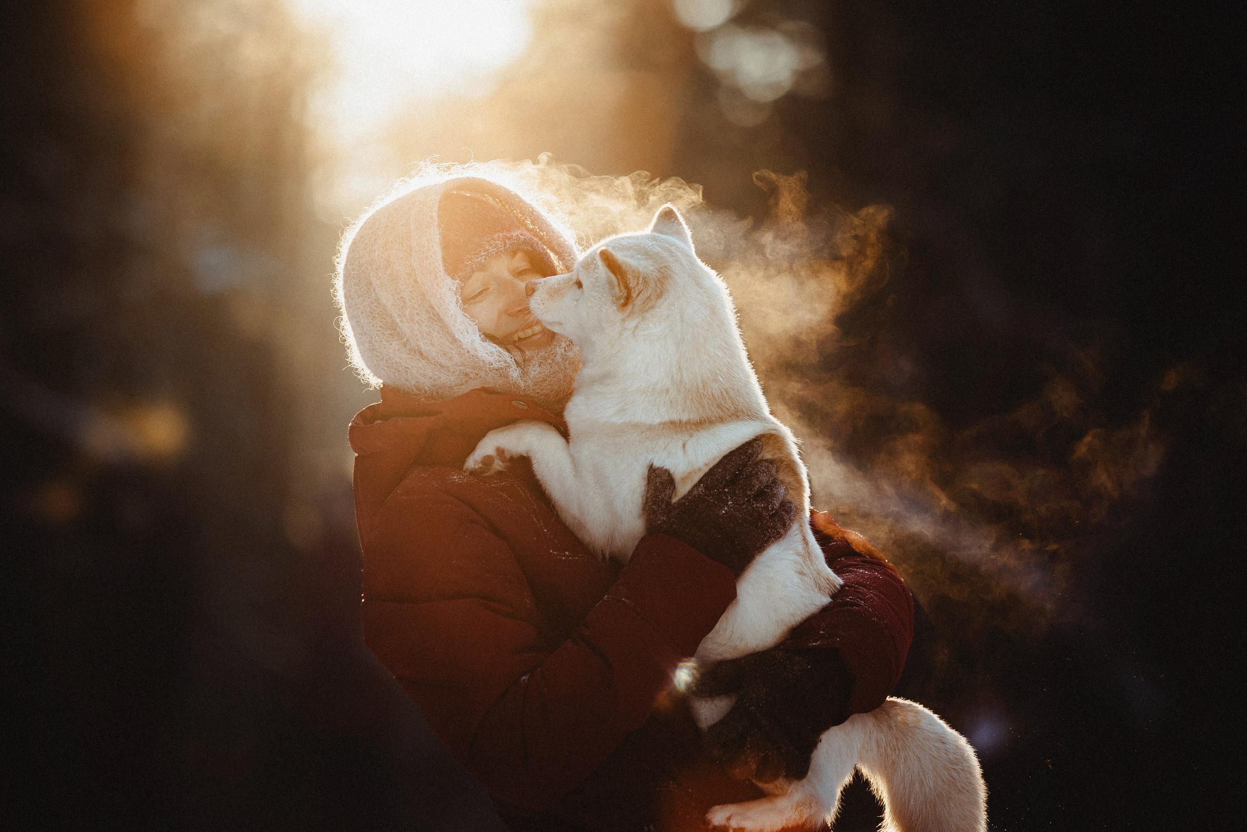 Шед, Цири и Ира