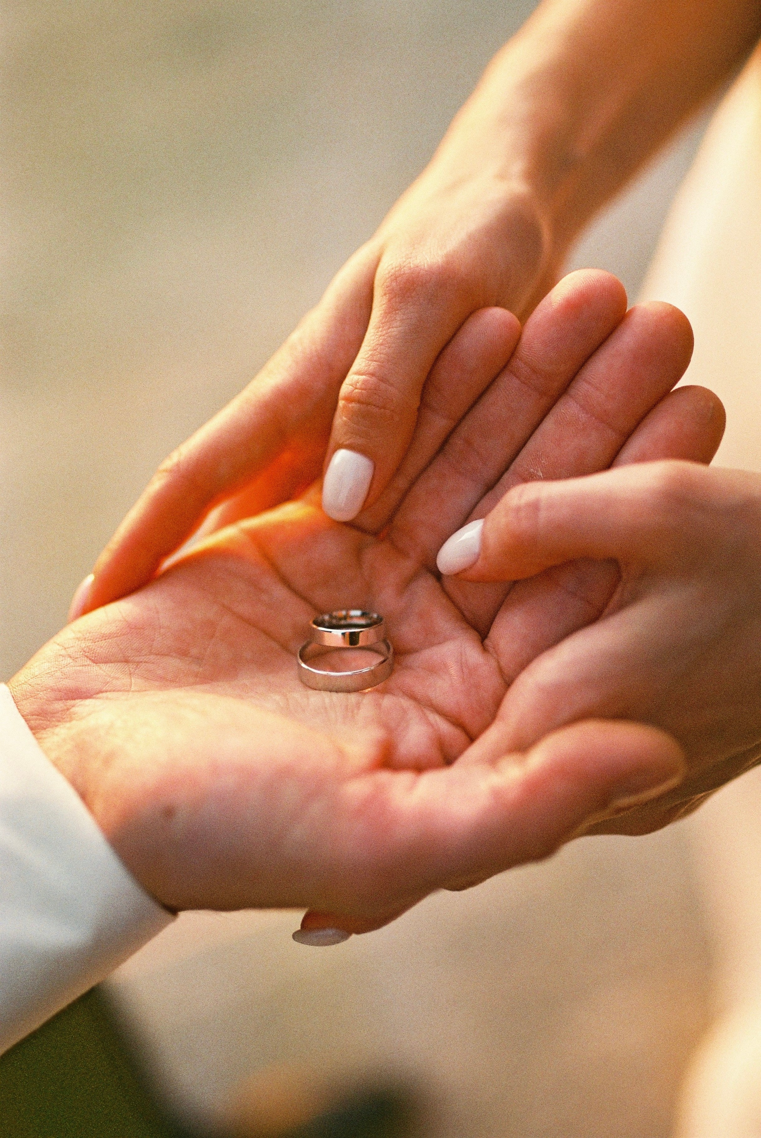 Плёнка. Wedding reels and photo