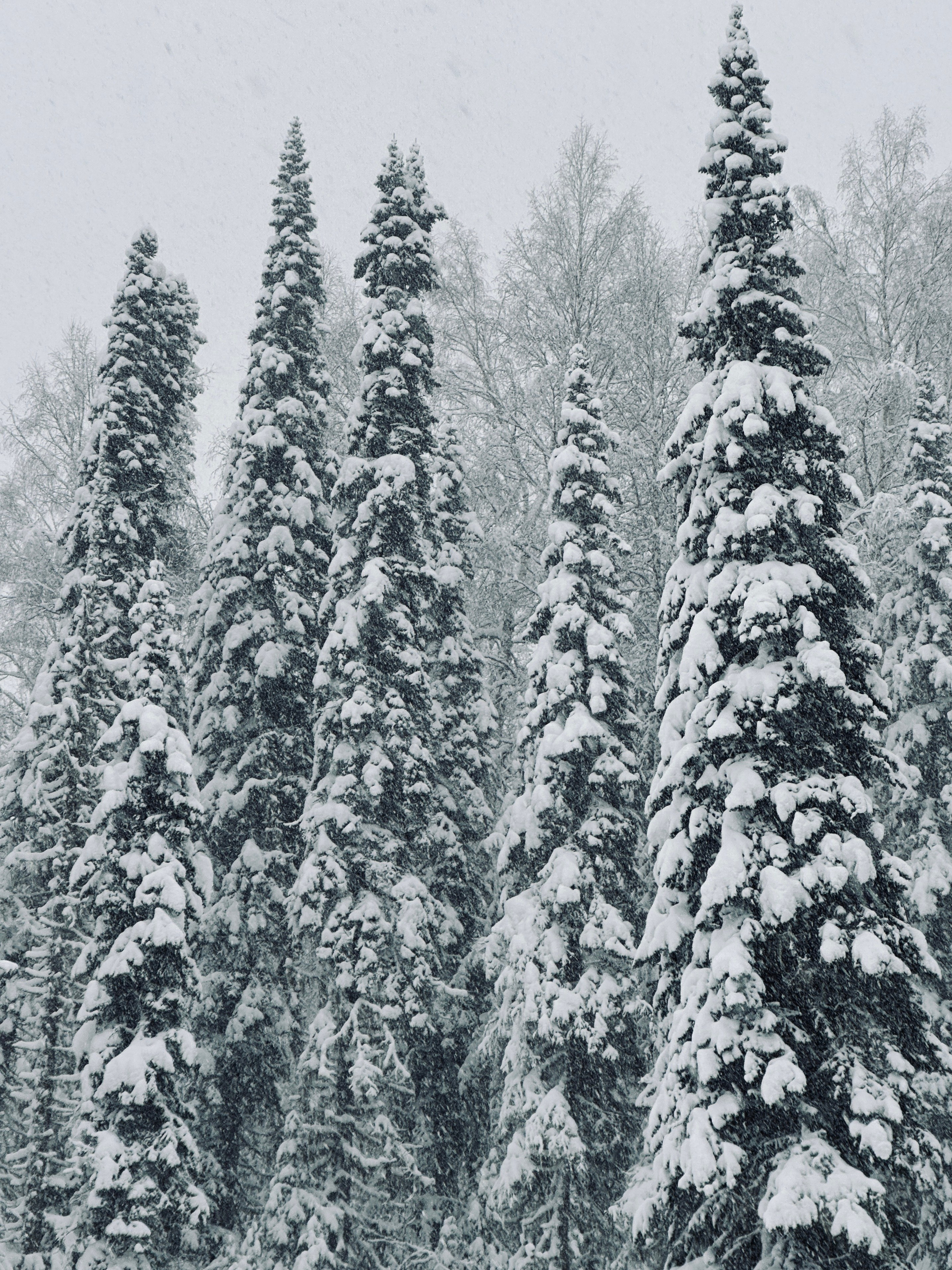 Фото с тура в Шерегеш — Время Приключений