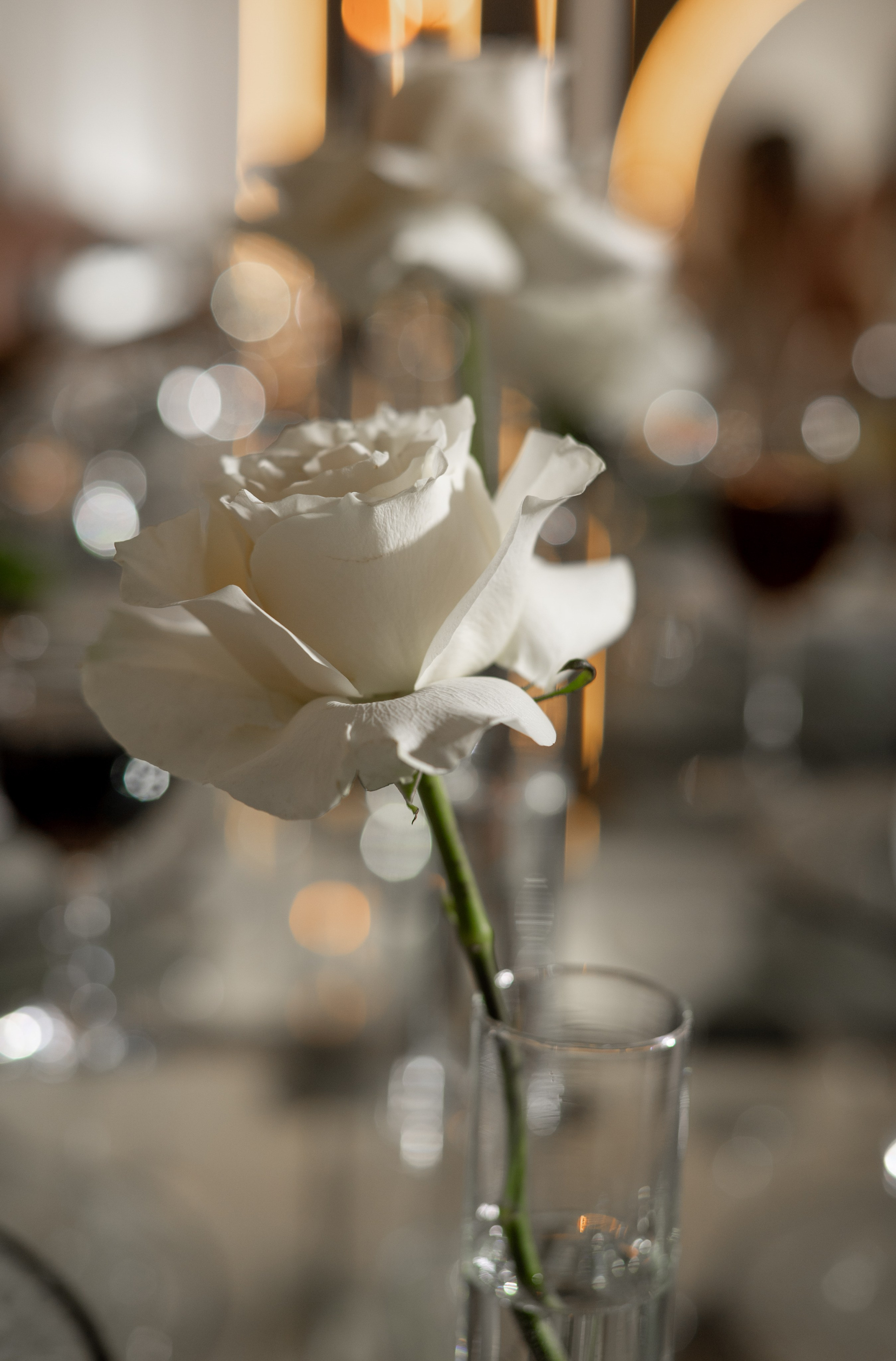 Свадьба Тимура и Виктории. Свадебный фотограф Тюмень Анастасия Битная