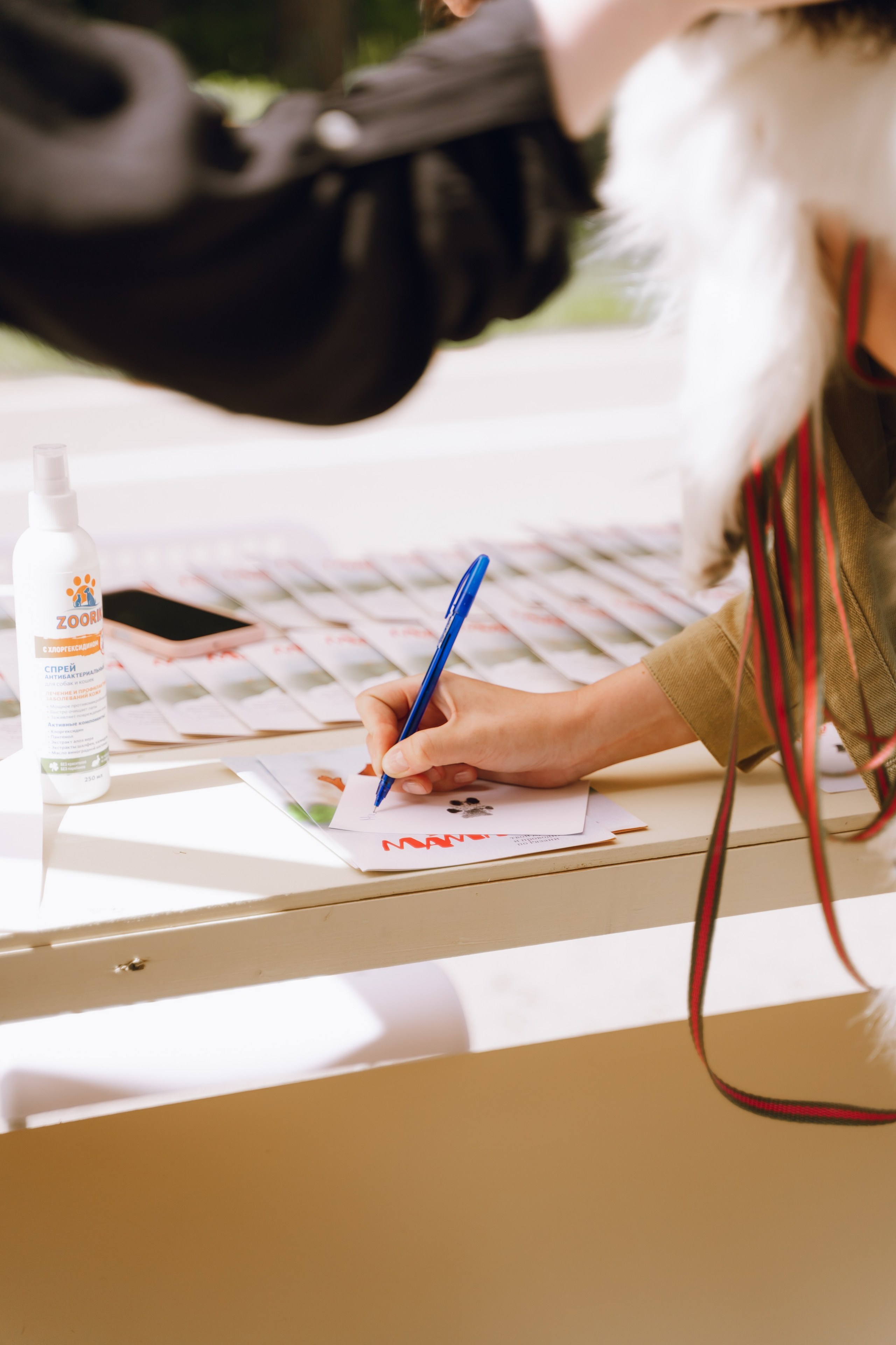 Площадка фестиваля «Мампус и его друзья» в Лесопарке 2025. Фотограф Надежда Погребняк | Рязань | Москва