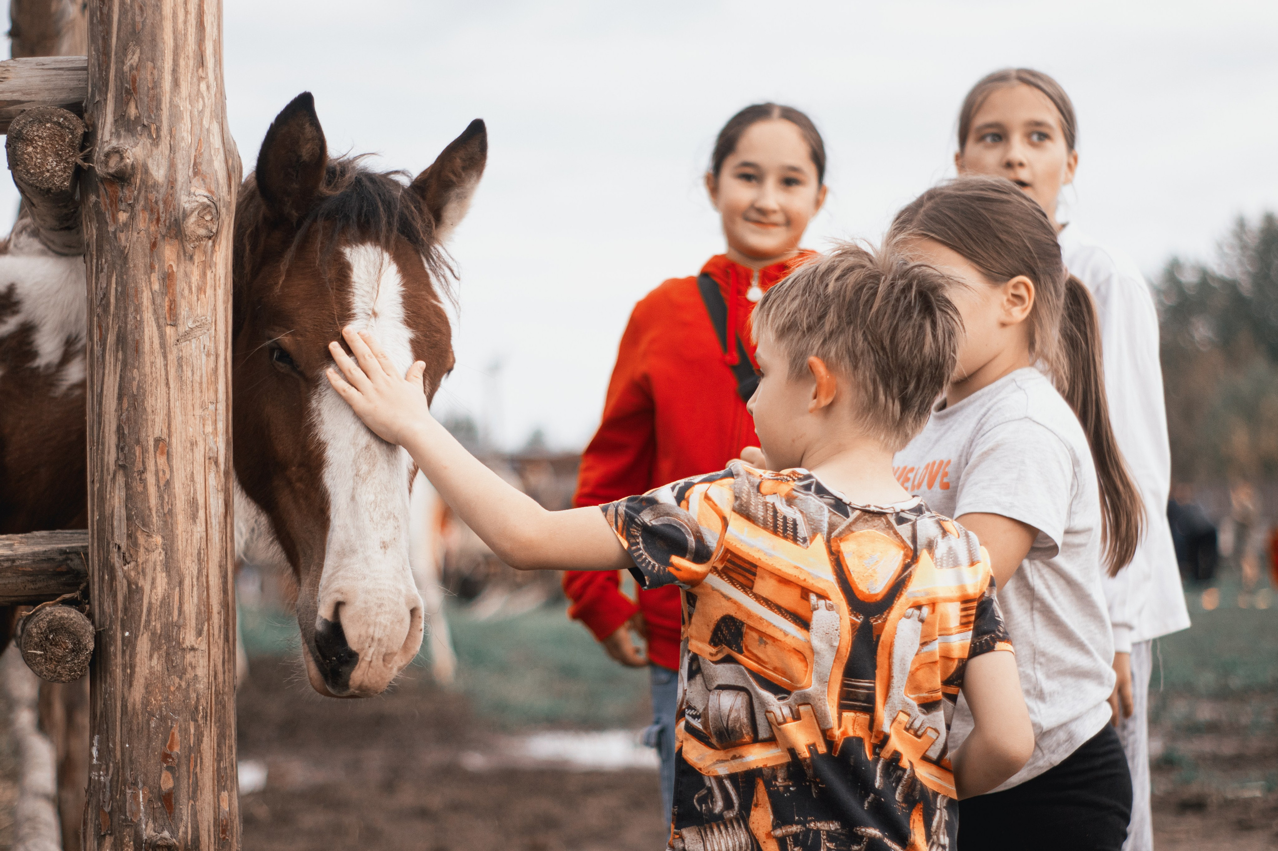 Фестиваль казачьей культуры на «Хутор Кречет». Фотограф в Тюмени Лизавета Сапицкая