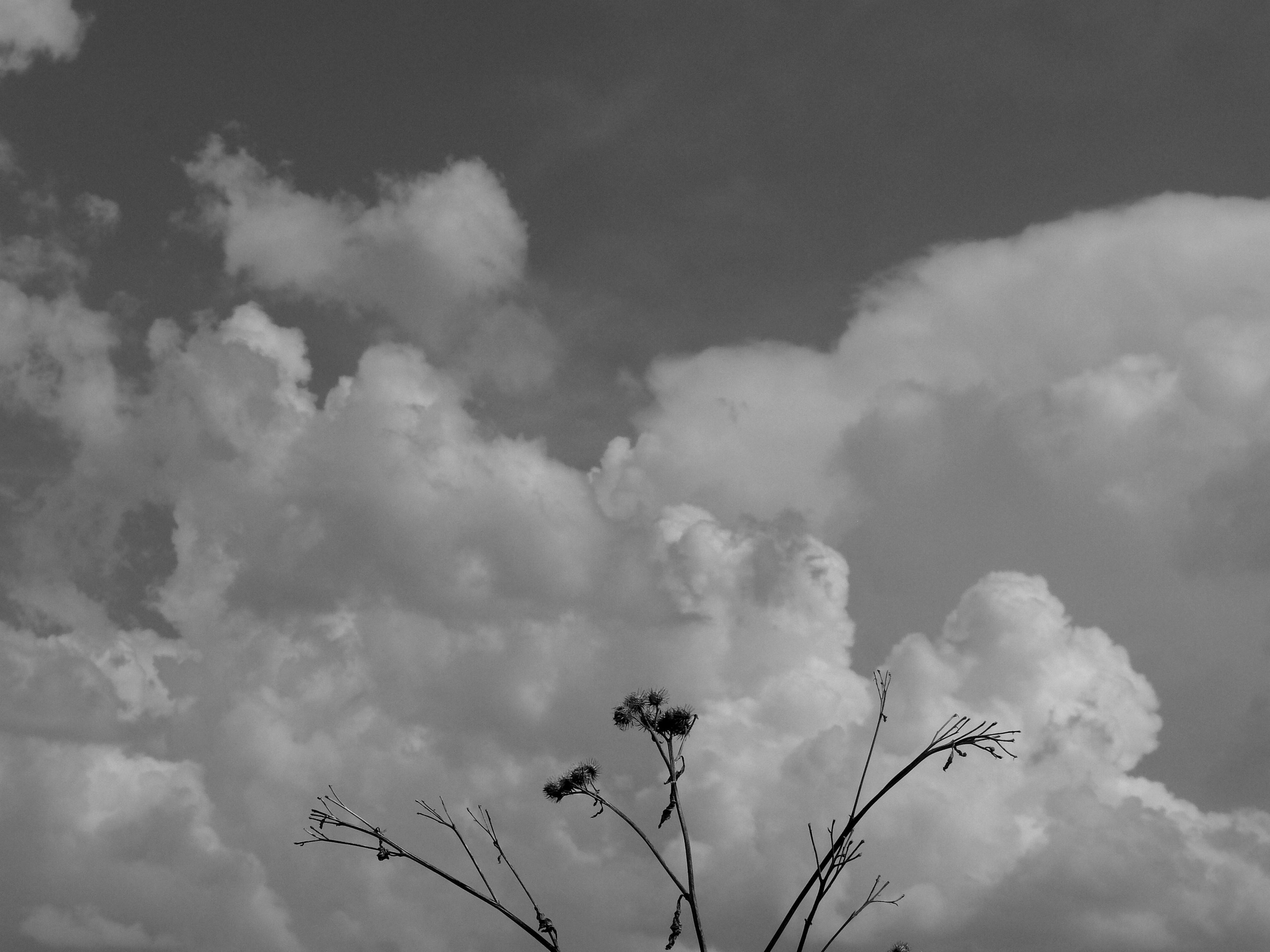 Внутривенные сны (2018-2023)