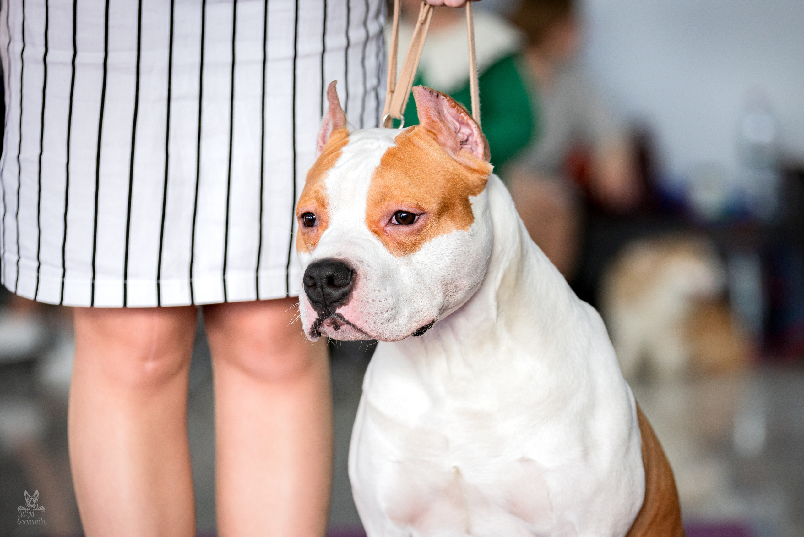 Можайский двор 11-12.02.2023. Фотограф-анималист Юлия Германика