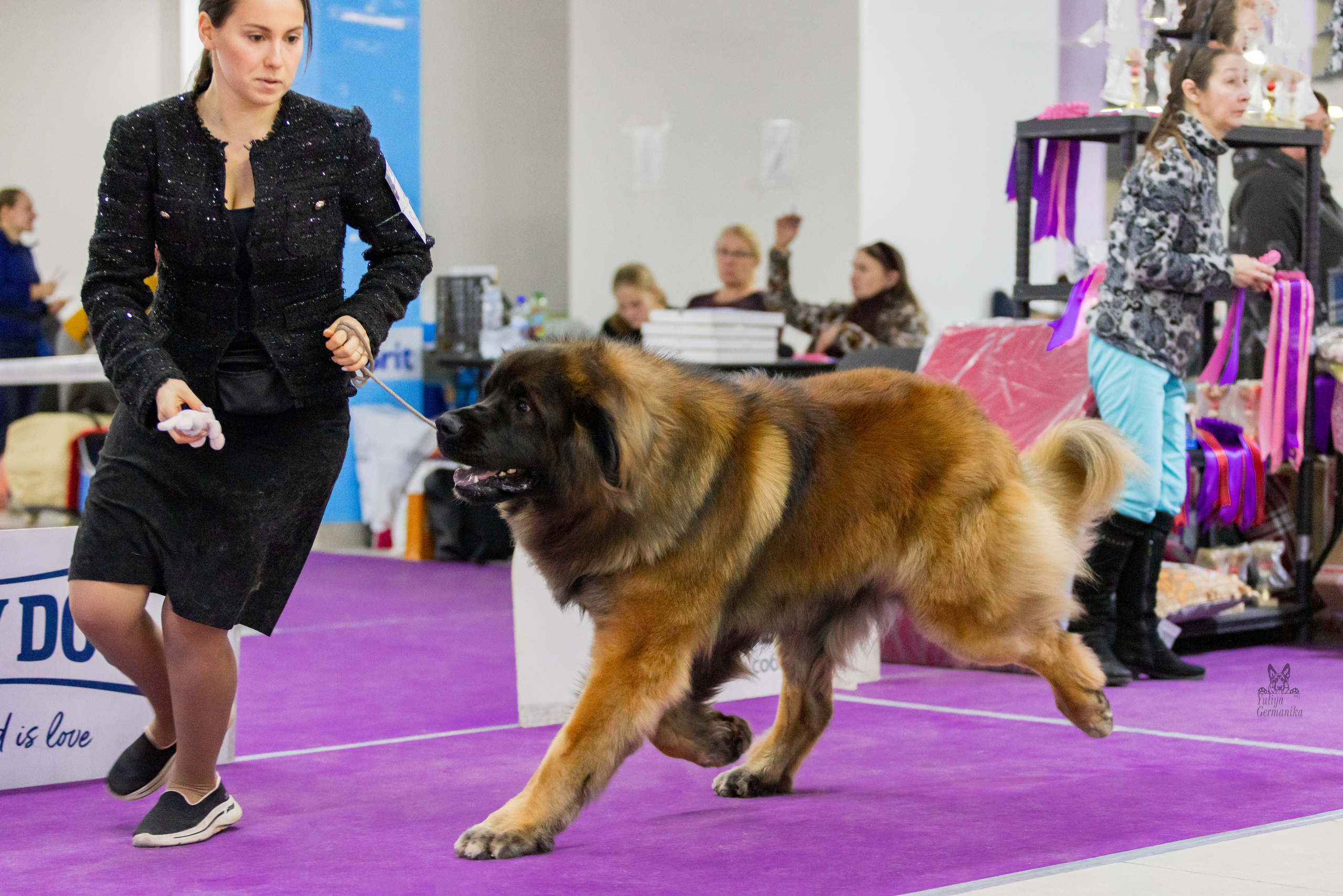 Чайна-Таун 5-8.01.2023. Фотограф-анималист Юлия Германика