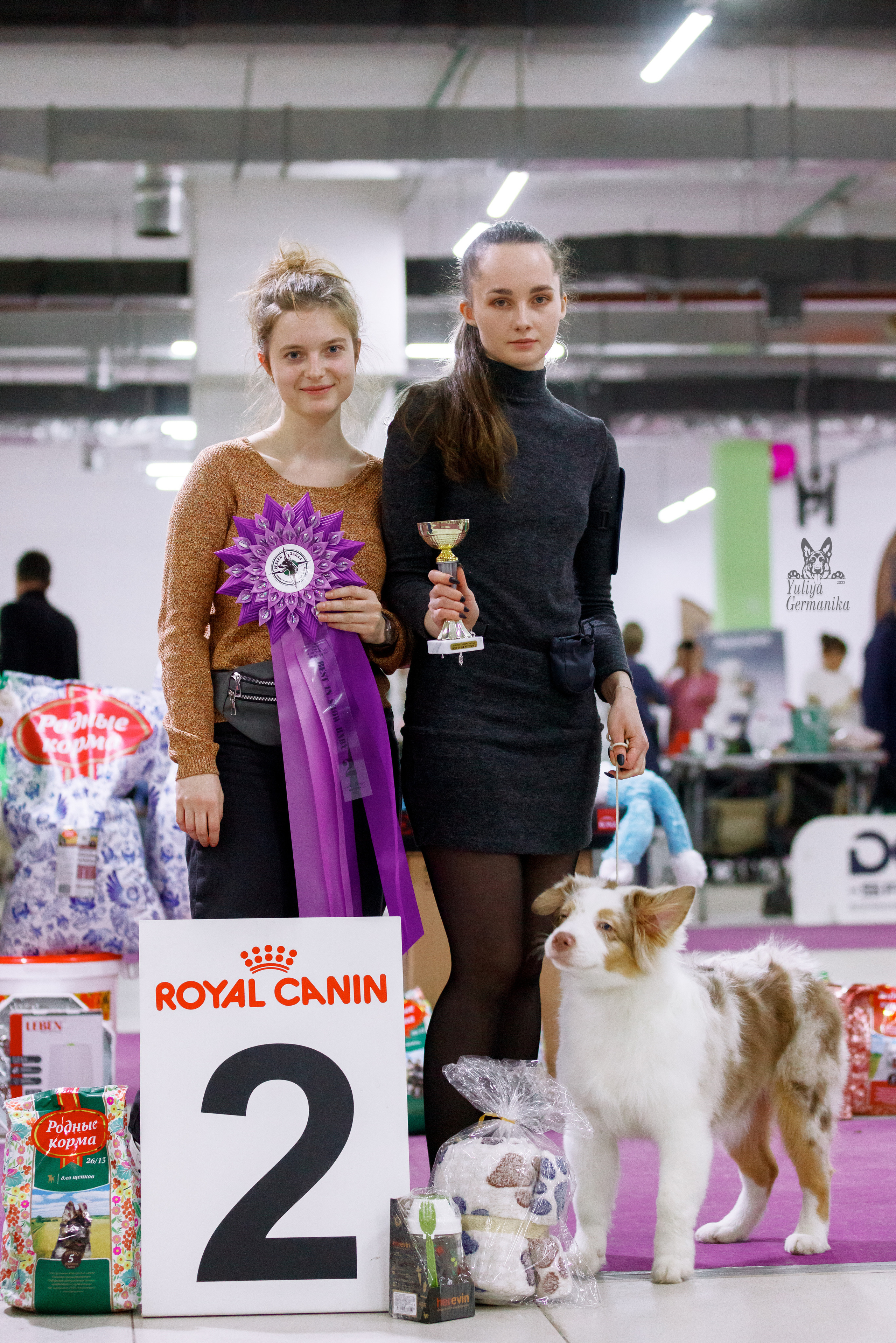 Чайна-Таун 3 и 10.12.2022. Фотограф-анималист Юлия Германика