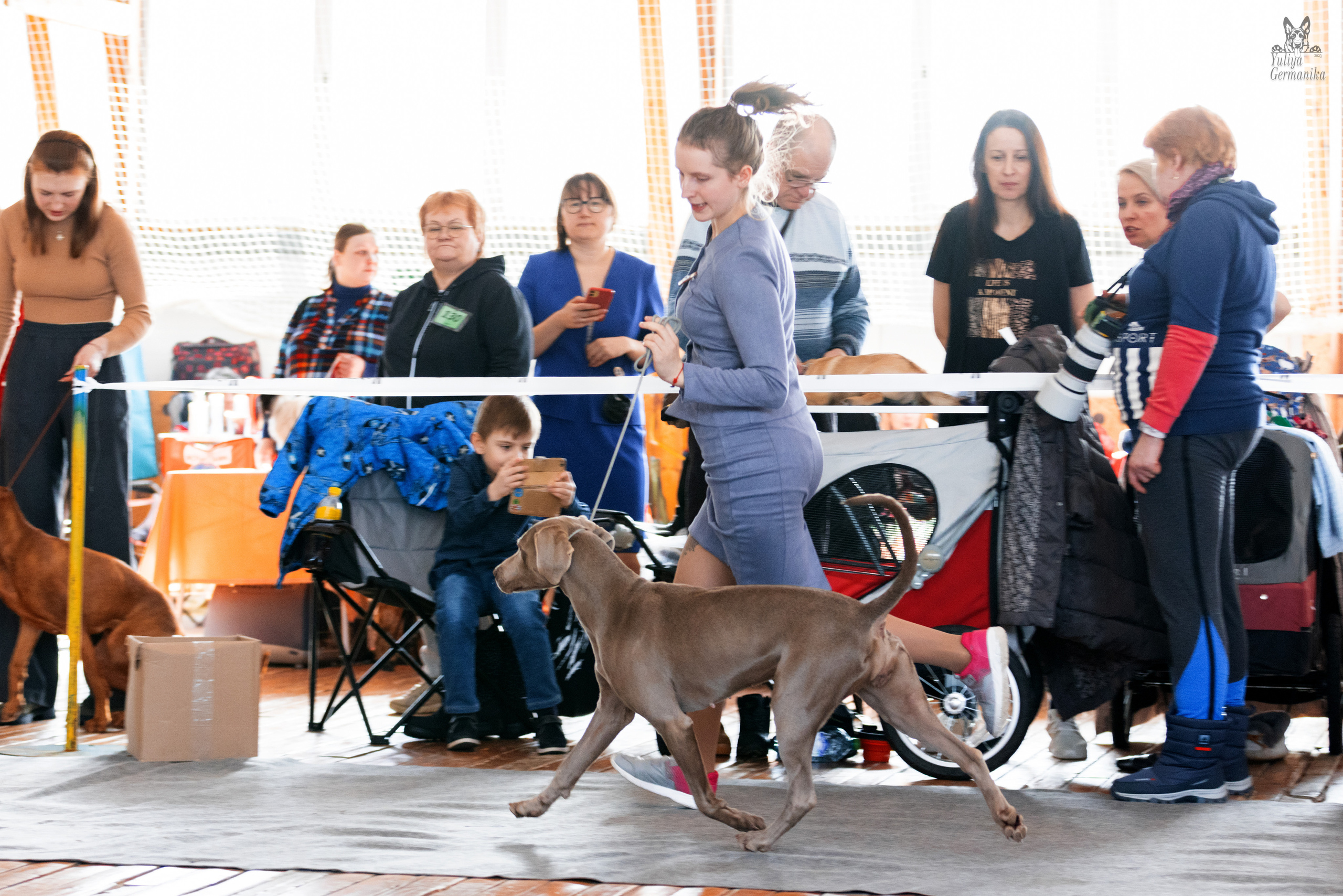 Тверь 19.03.2023. Фотограф-анималист Юлия Германика