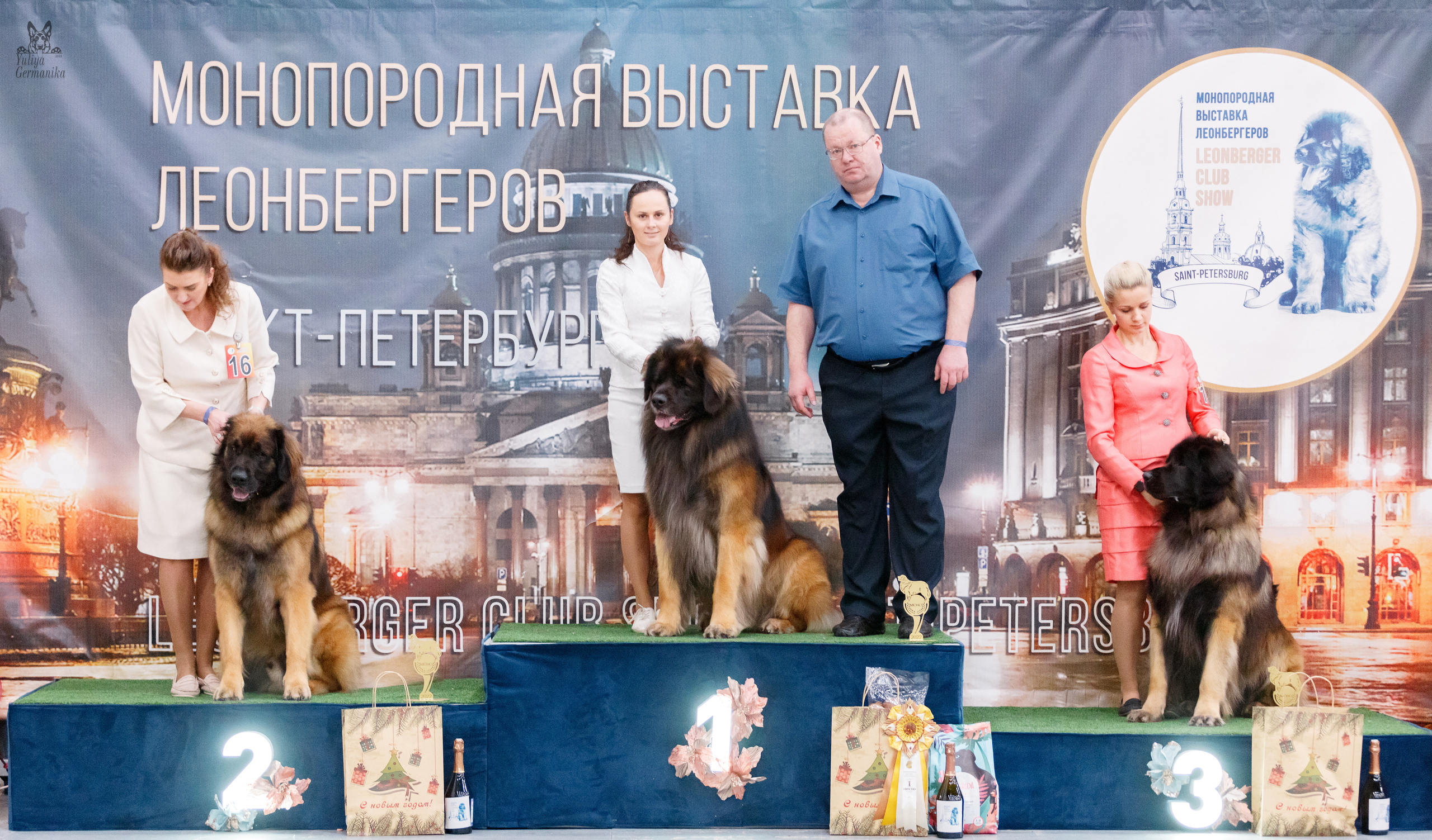 Питер 17-18.12.2022. Фотограф-анималист Юлия Германика