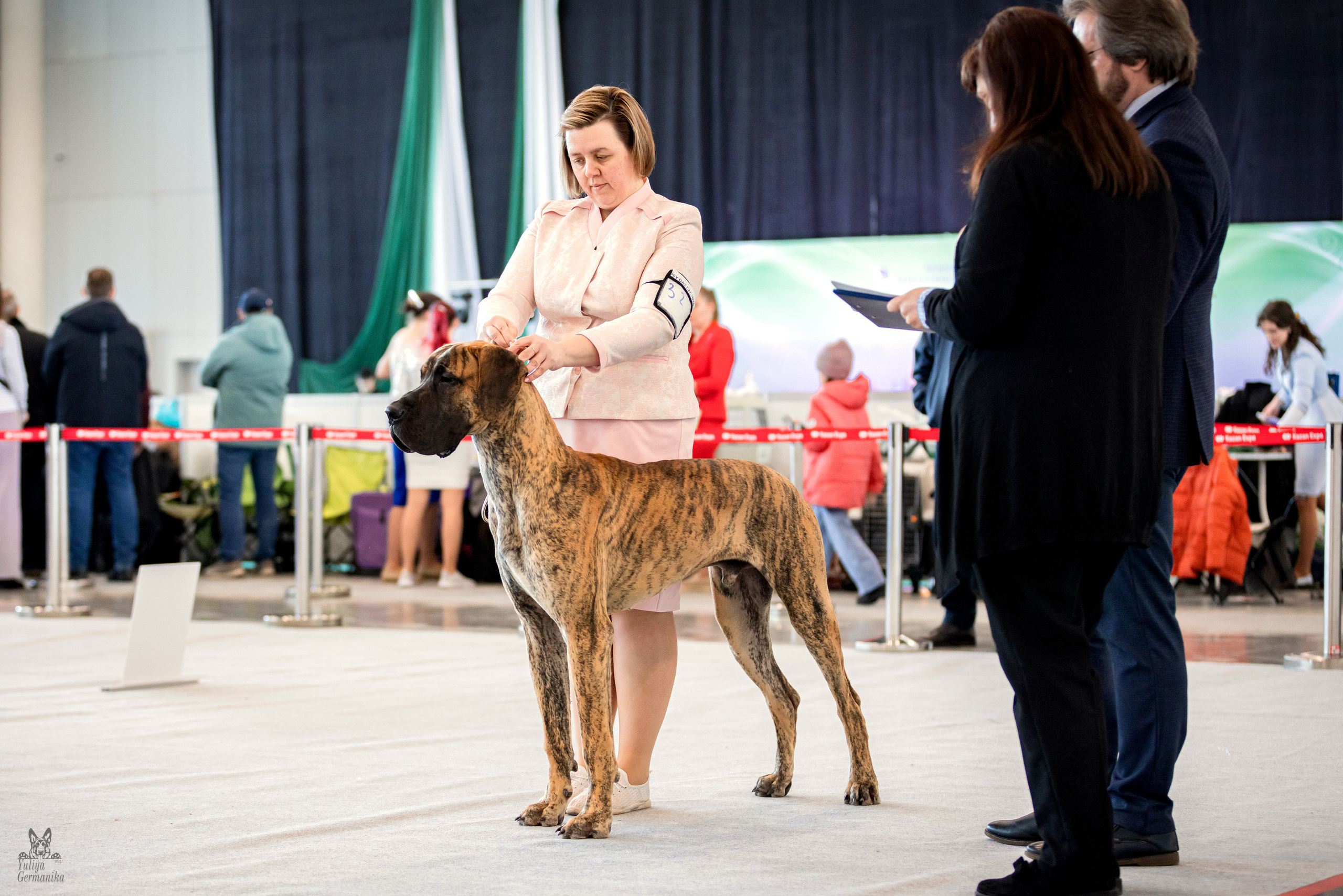 Казань 11.03.2023. Фотограф-анималист Юлия Германика