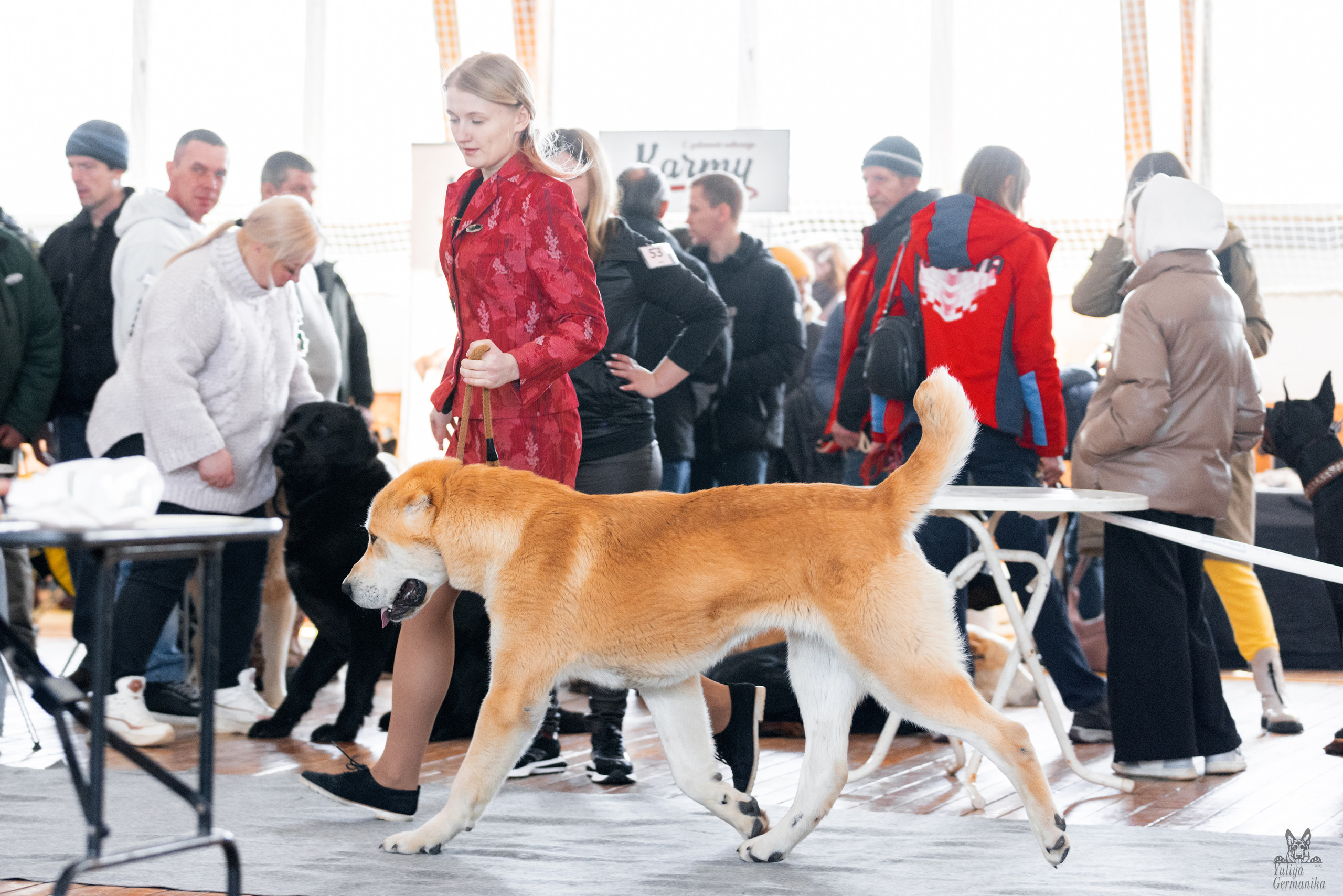 Тверь 19.03.2023. Фотограф-анималист Юлия Германика
