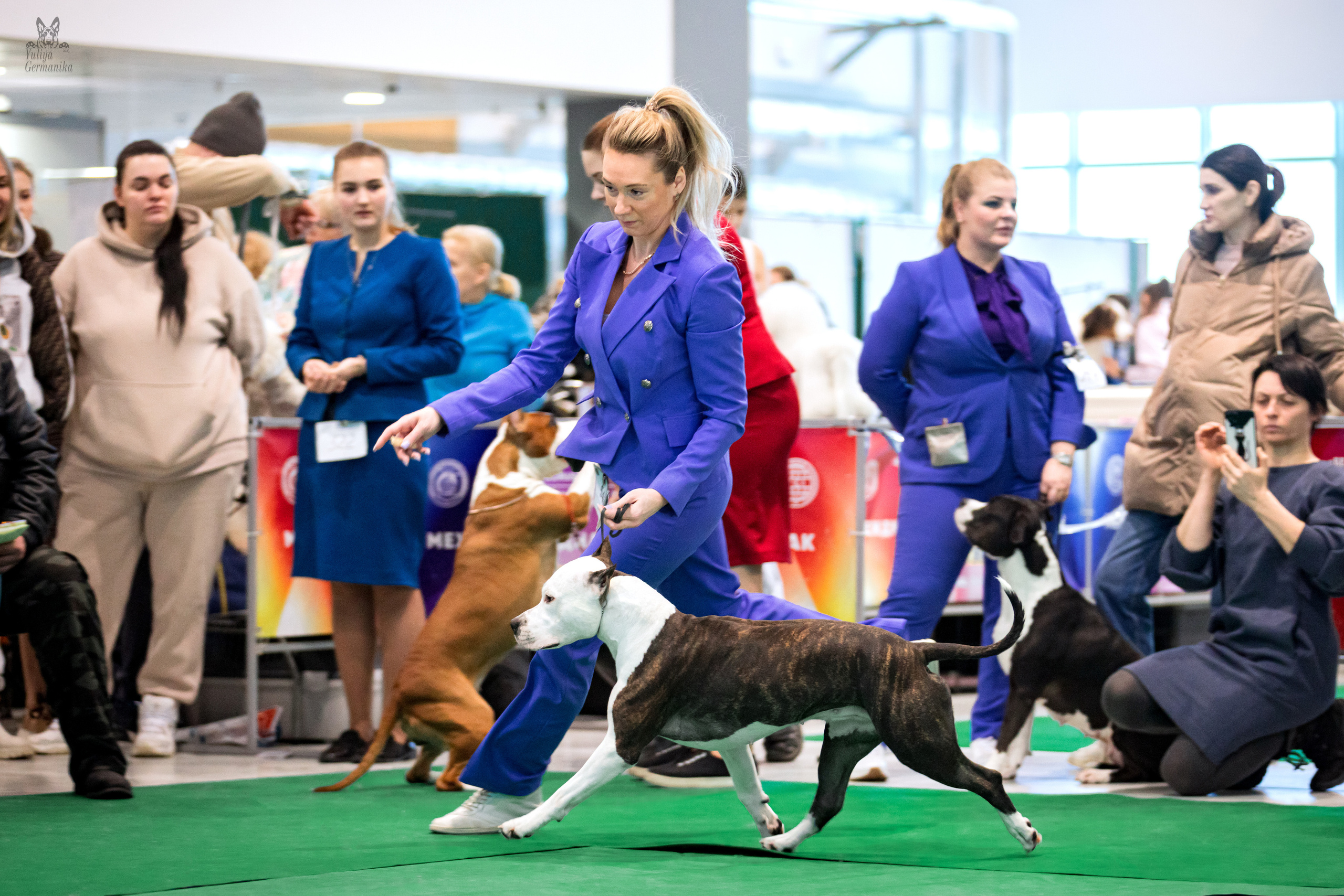 Минск 25-26.02.2023. Фотограф-анималист Юлия Германика