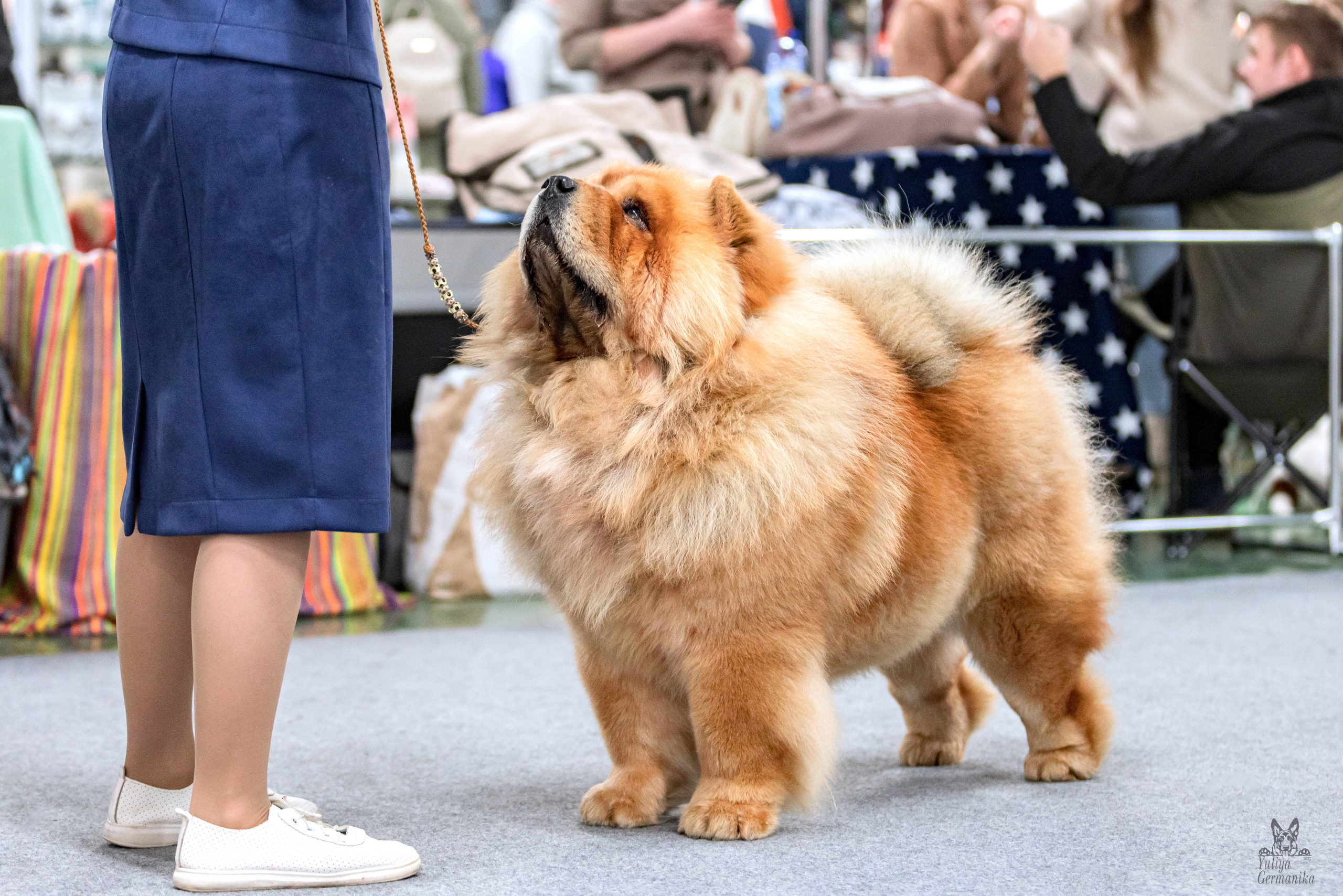 Сфера 5.03.2023. Фотограф-анималист Юлия Германика