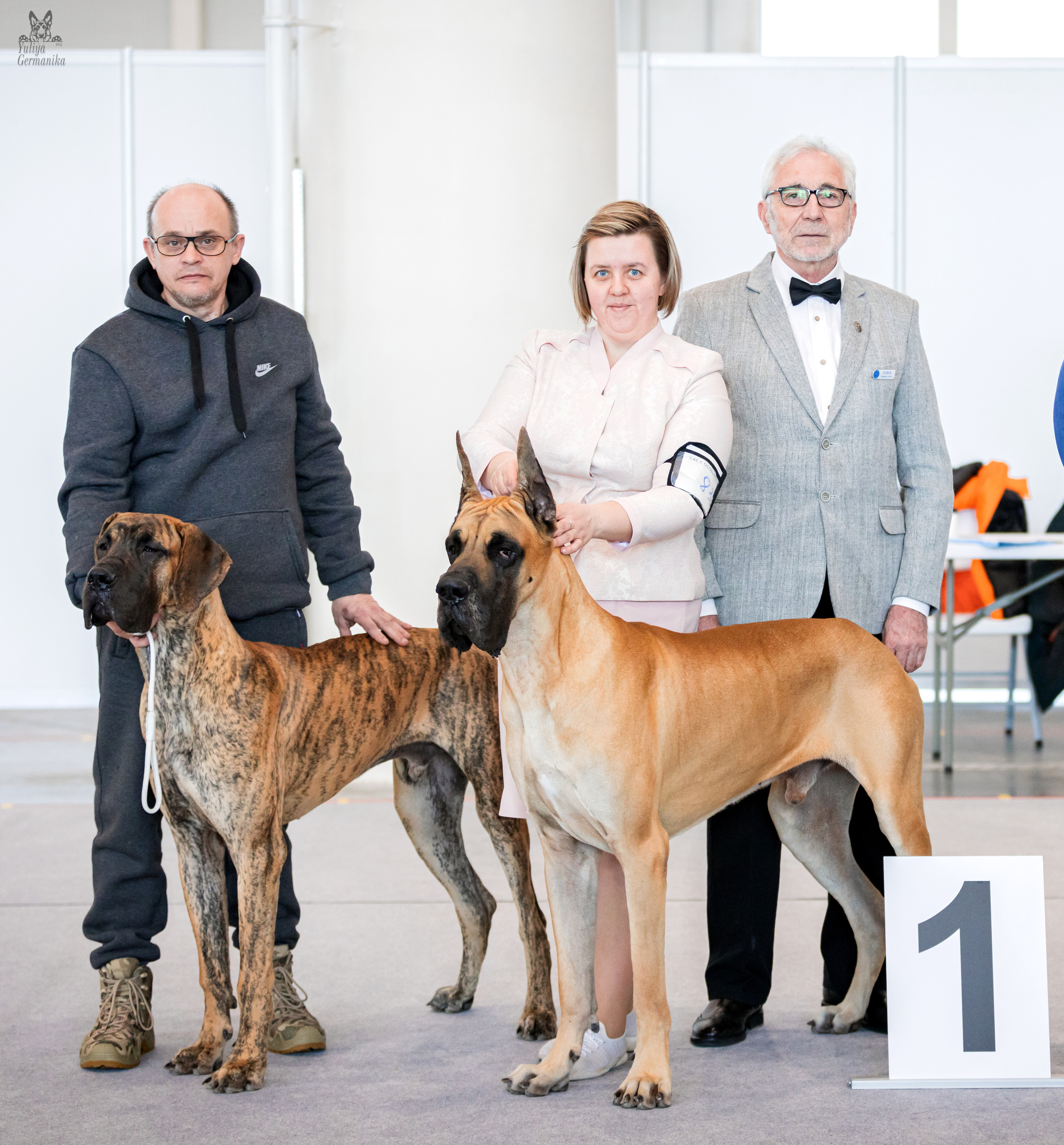 Казань 11.03.2023. Фотограф-анималист Юлия Германика