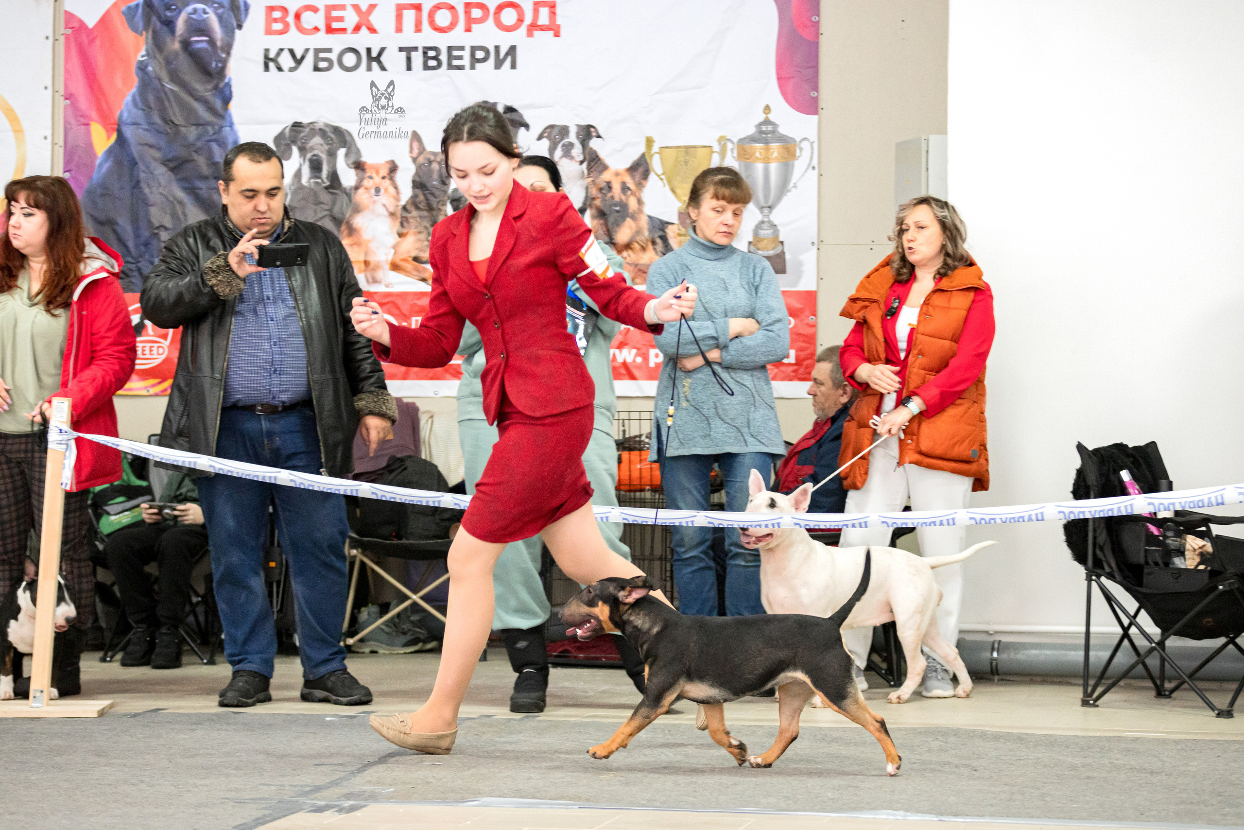 Тверь 19.02.2023. Фотограф-анималист Юлия Германика