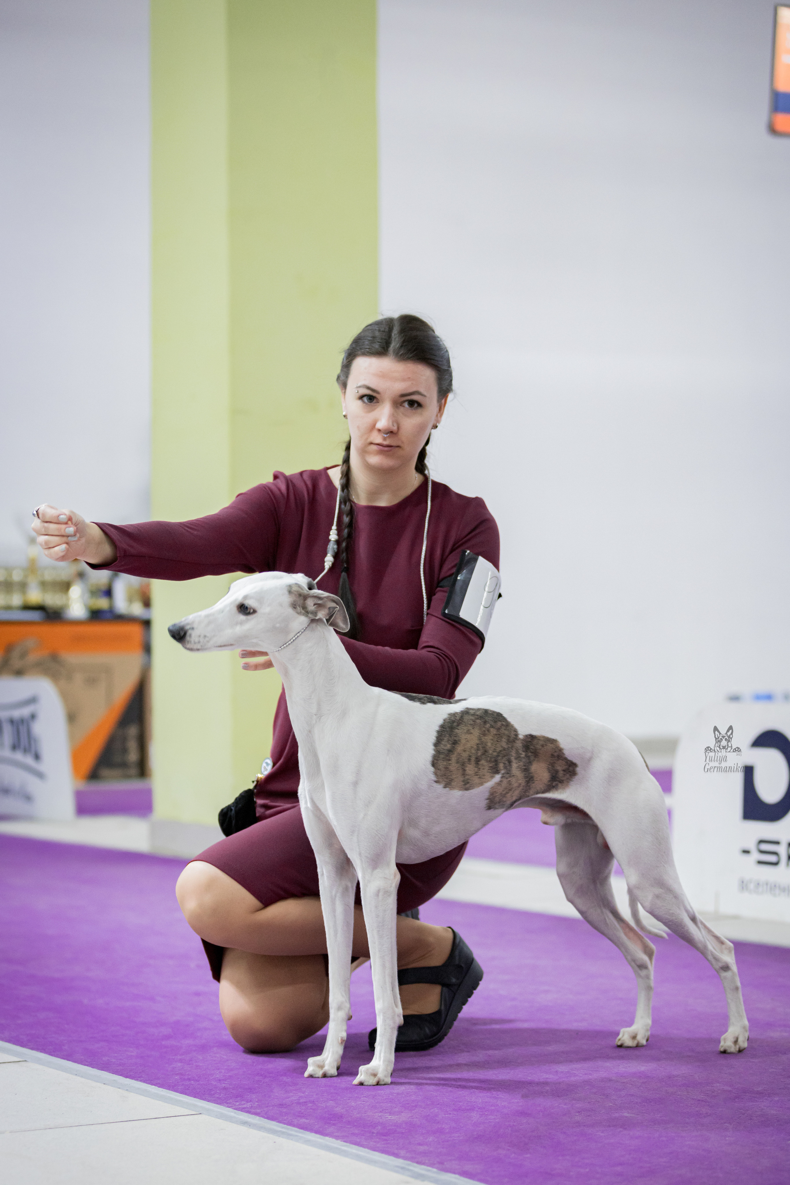 Чайна-Таун 5-8.01.2023. Фотограф-анималист Юлия Германика