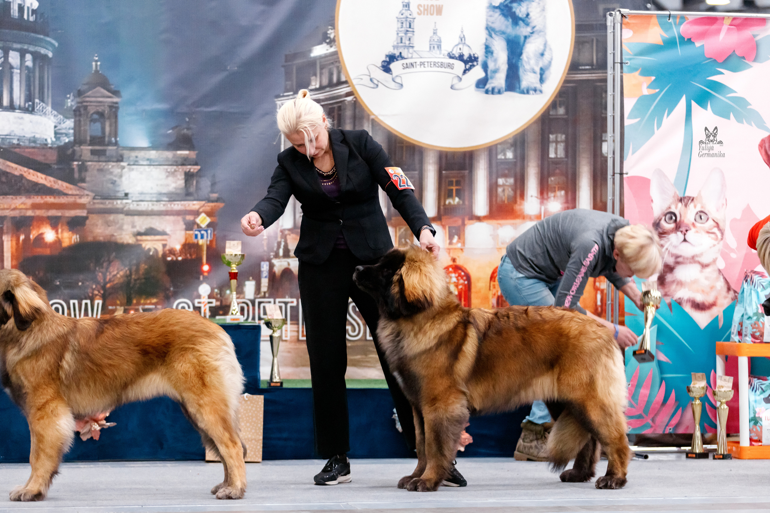 Питер 17-18.12.2022. Фотограф-анималист Юлия Германика