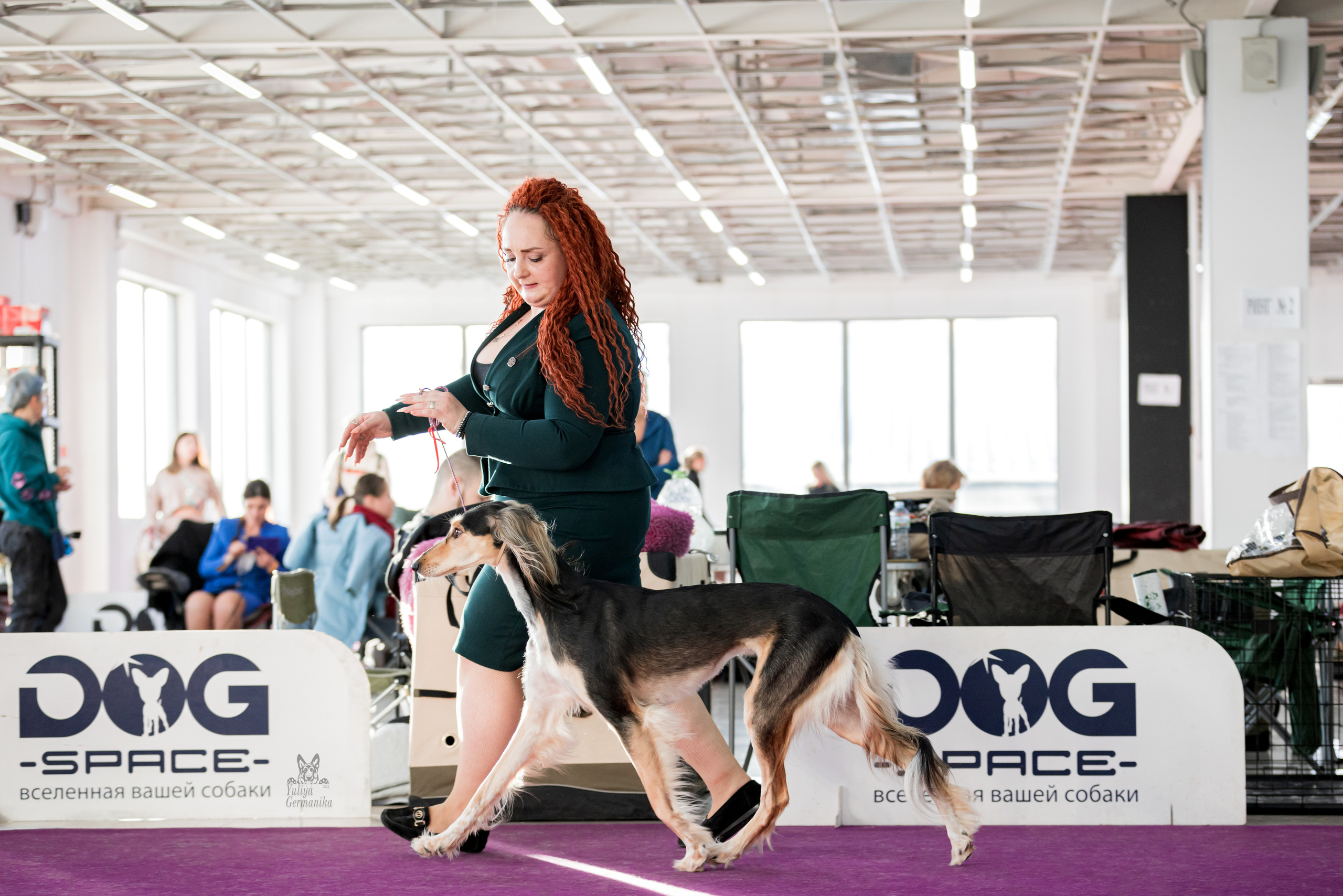 Можайский двор 11-12.02.2023. Фотограф-анималист Юлия Германика