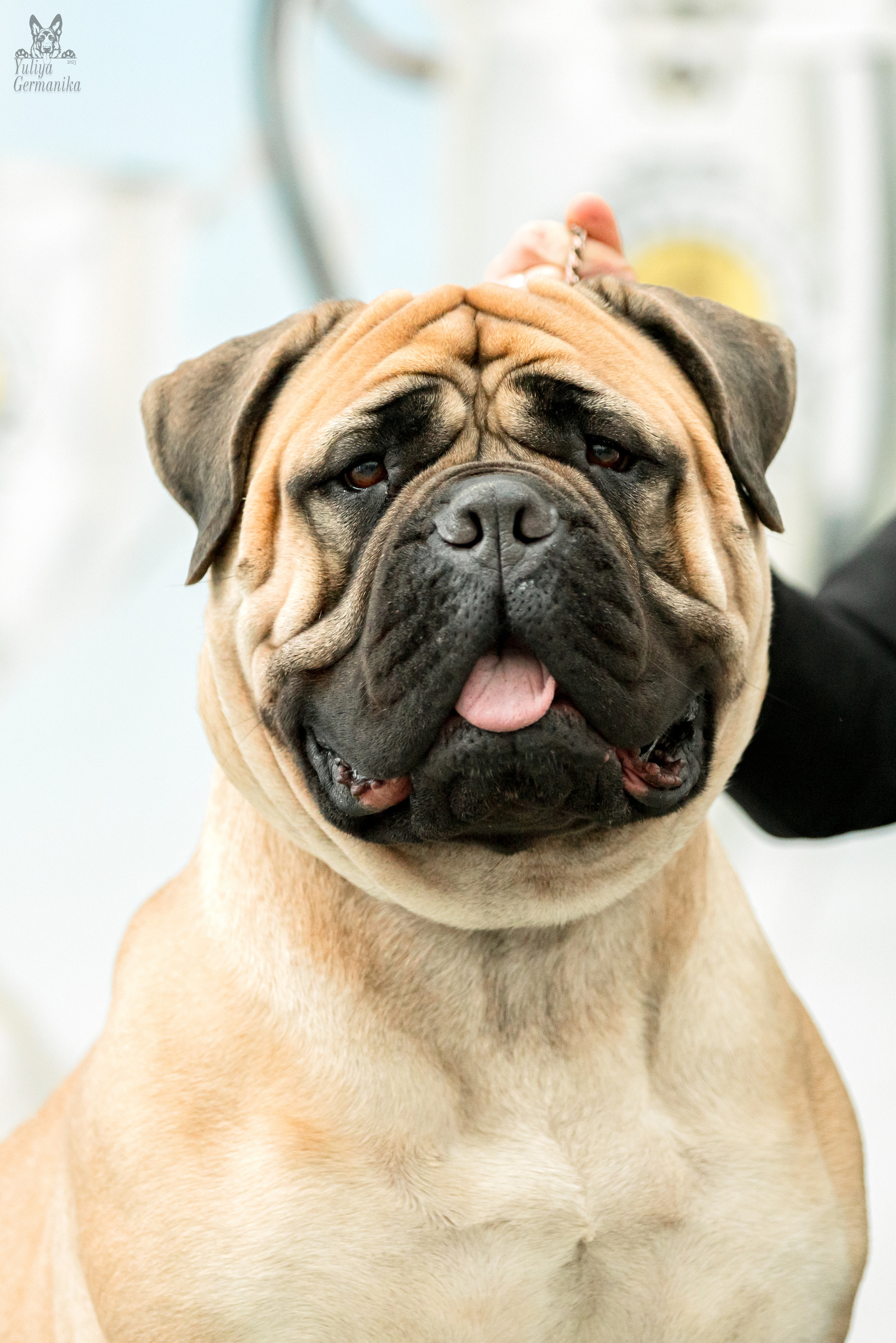 Минск 25-26.02.2023. Фотограф-анималист Юлия Германика