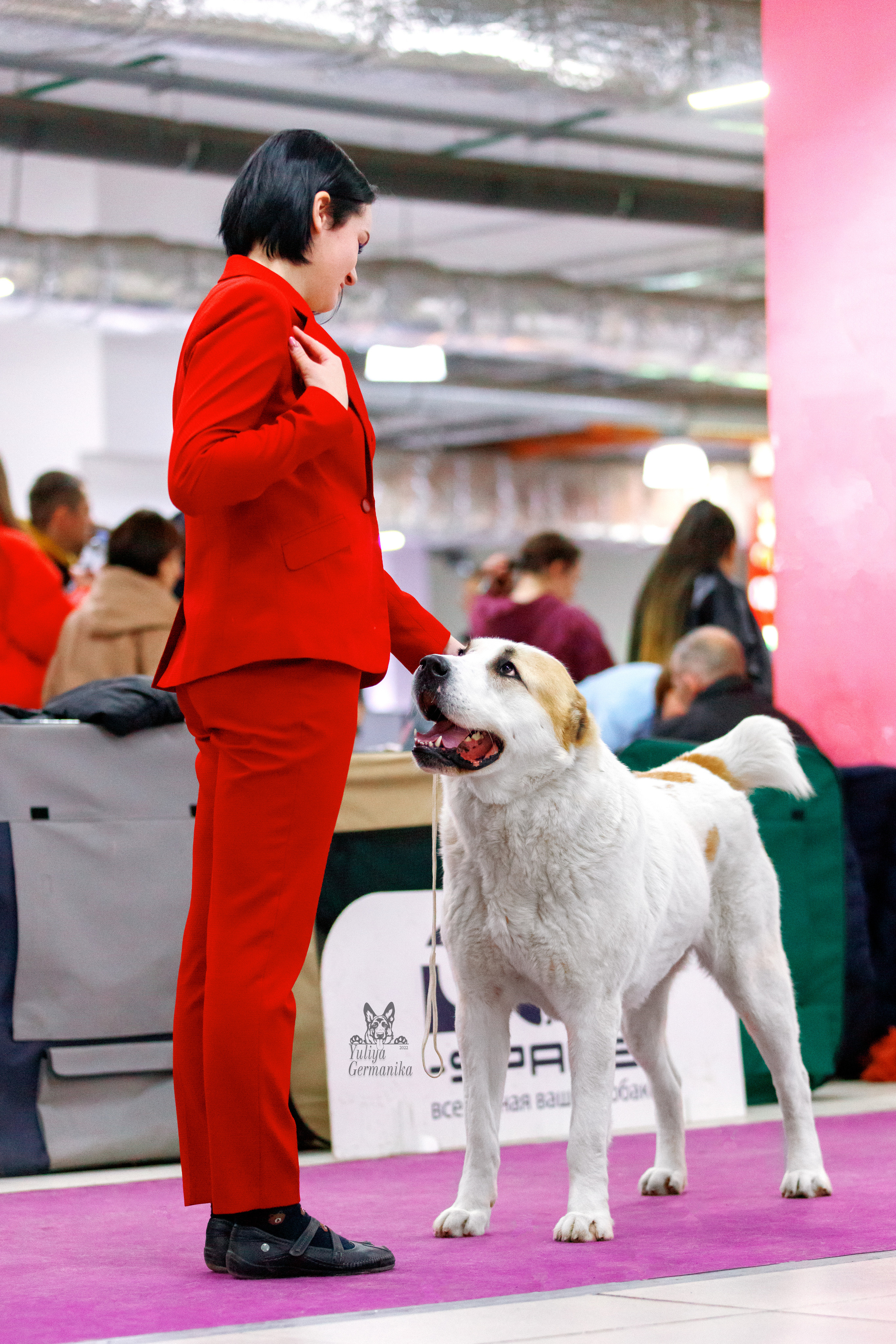 Чайна-Таун 3 и 10.12.2022. Фотограф-анималист Юлия Германика