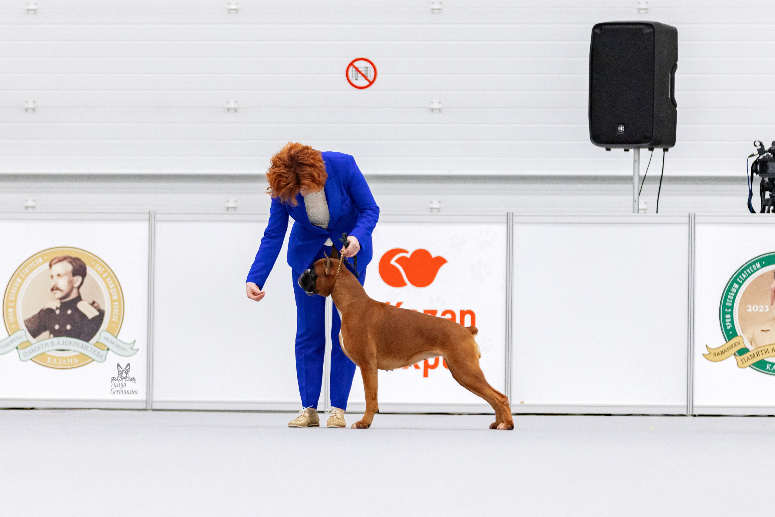 Сабанеевка,Казань 28-29.01.2023. Фотограф-анималист Юлия Германика