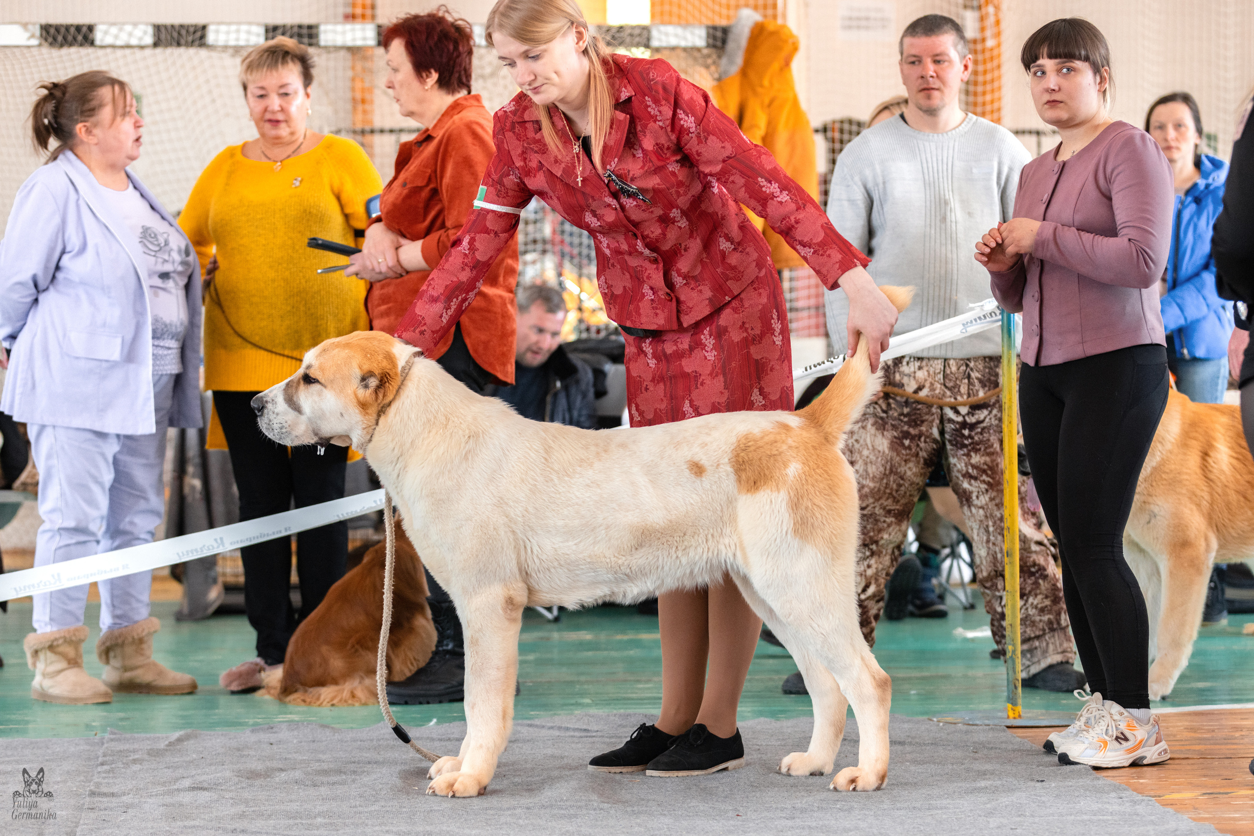 Тверь 19.03.2023. Фотограф-анималист Юлия Германика