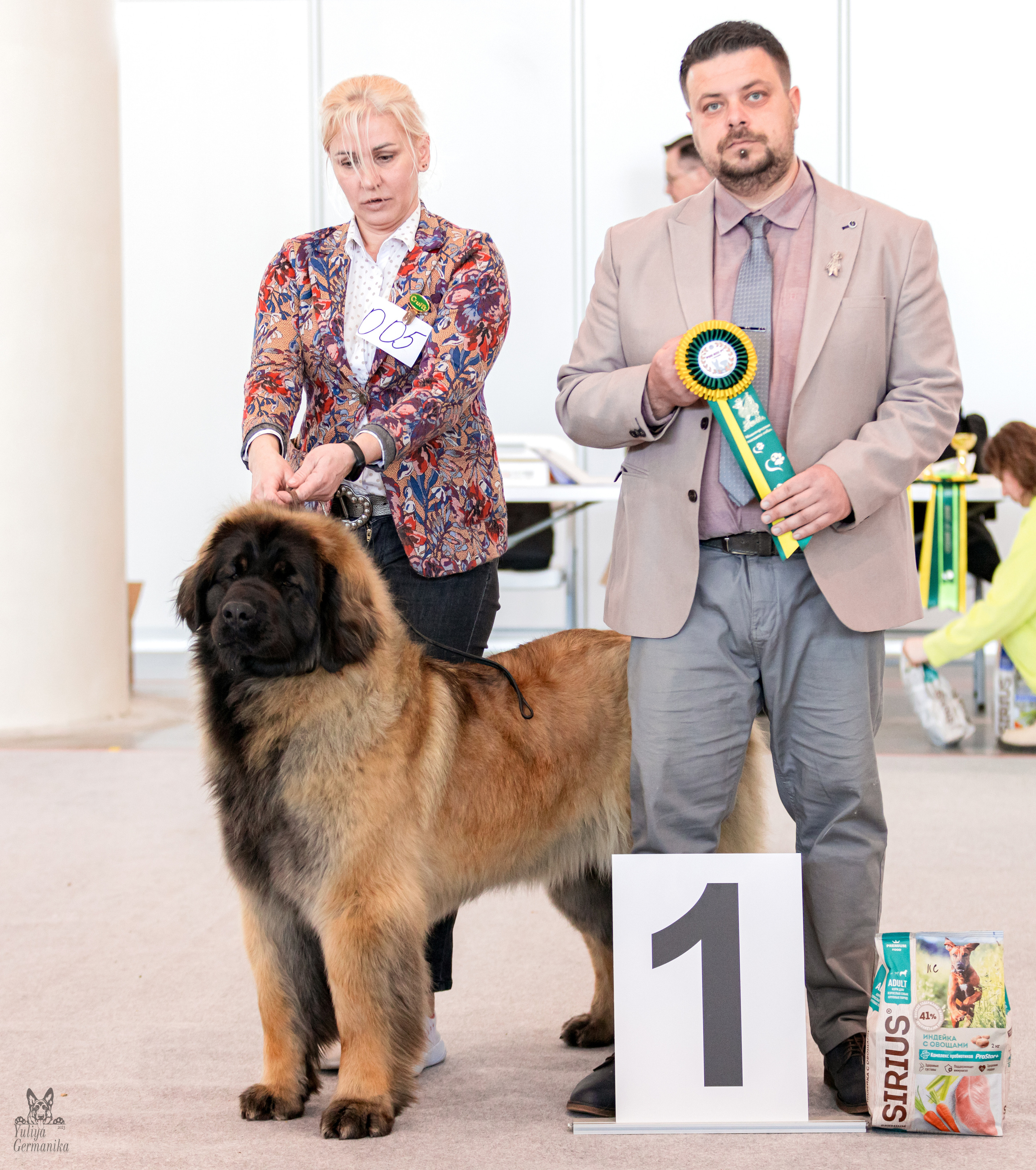 Казань 11.03.2023. Фотограф-анималист Юлия Германика