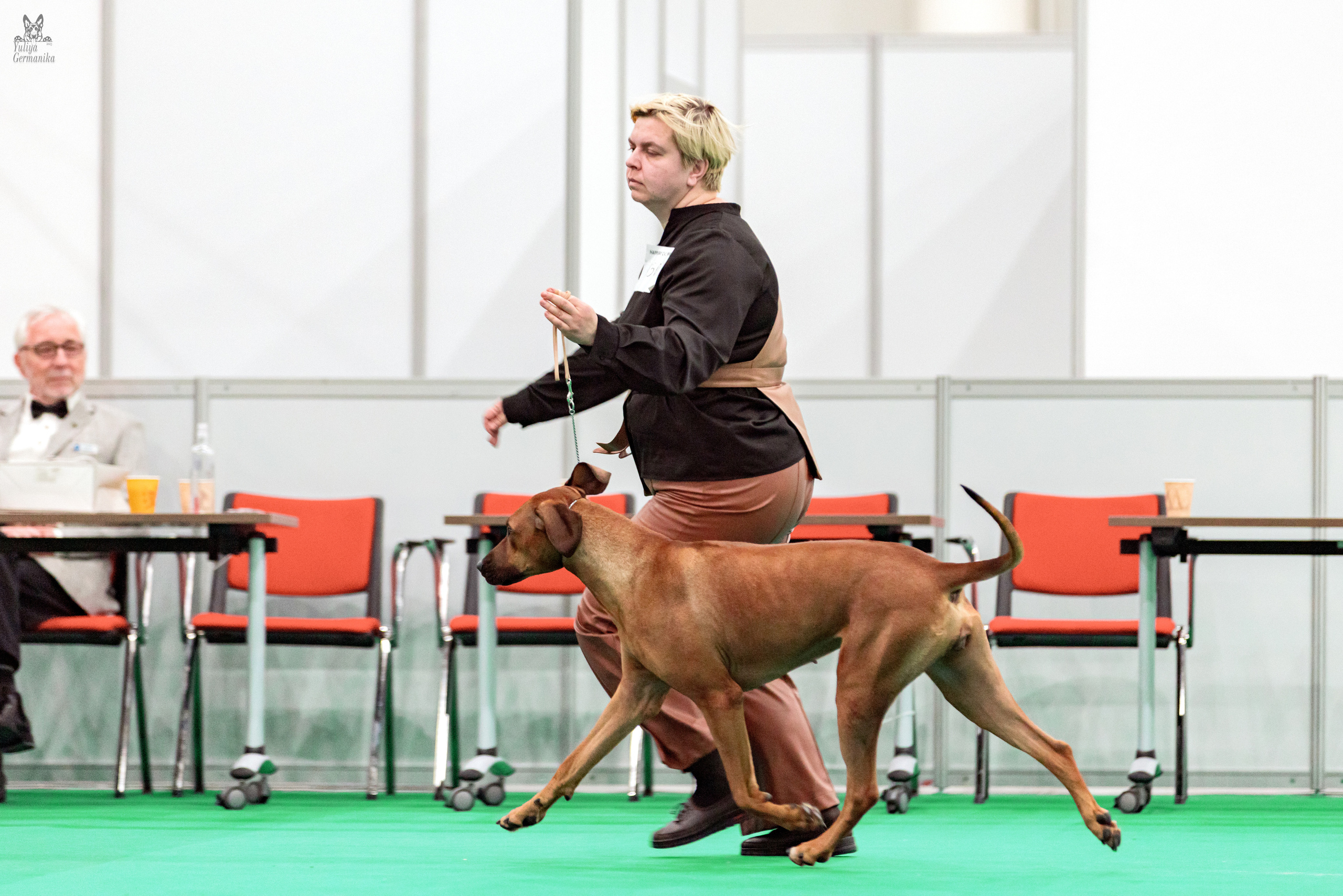 Казань 11.03.2023. Фотограф-анималист Юлия Германика