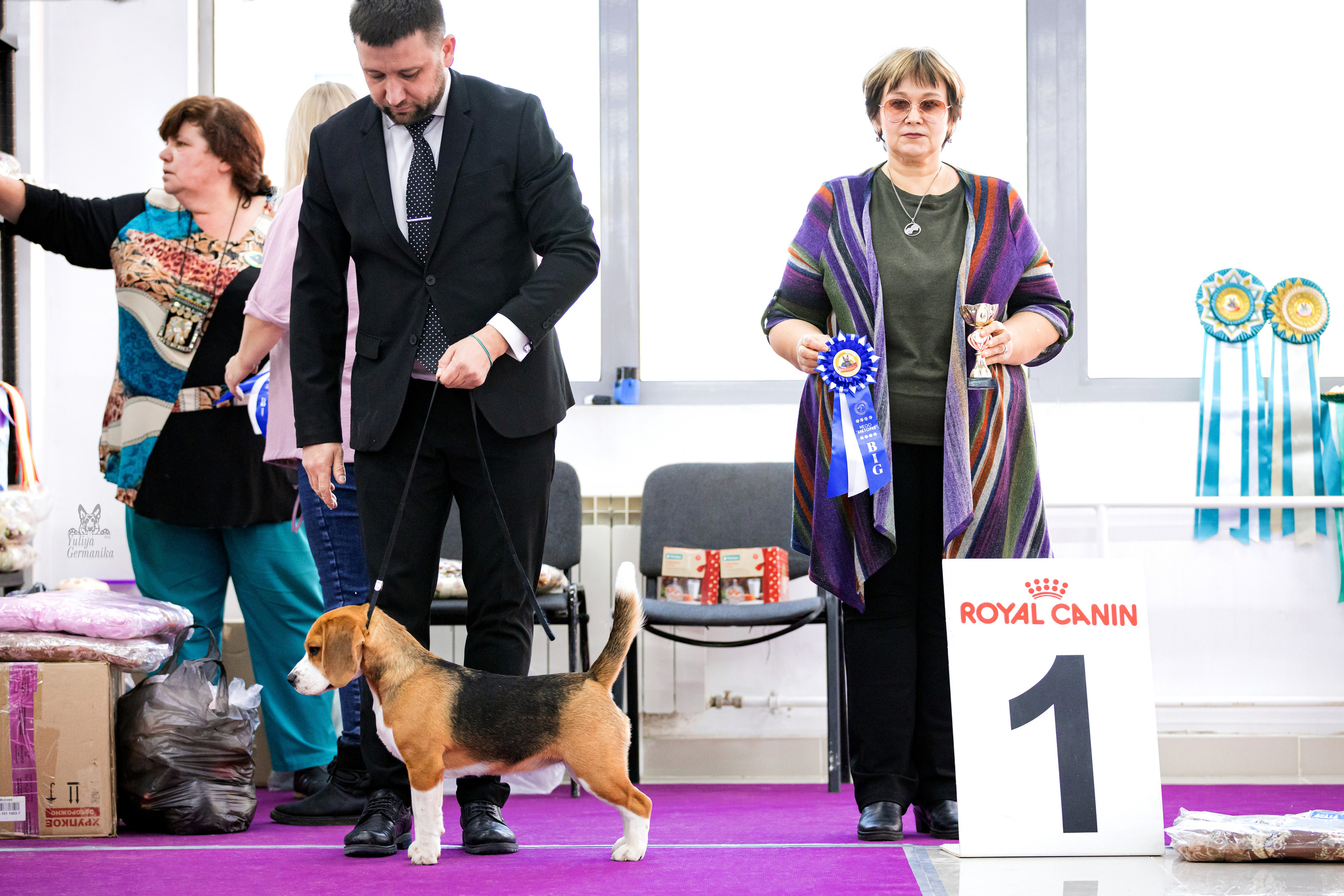 Можайский двор 11-12.02.2023. Фотограф-анималист Юлия Германика