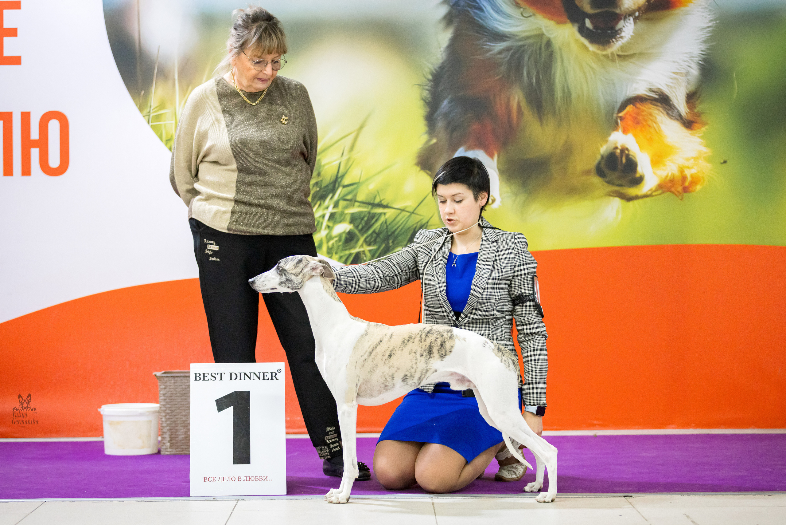 Чайна-Таун 5-8.01.2023. Фотограф-анималист Юлия Германика