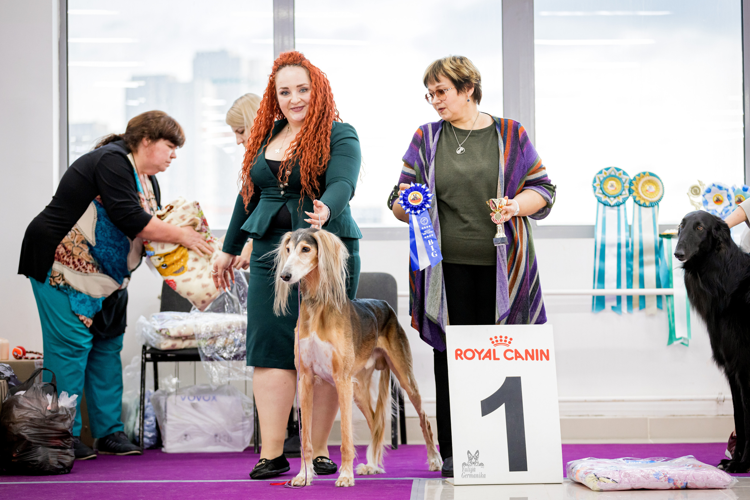 Можайский двор 11-12.02.2023. Фотограф-анималист Юлия Германика