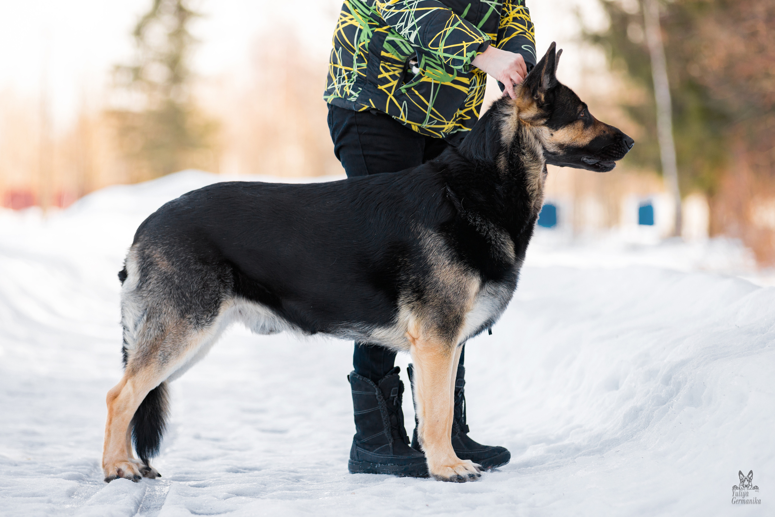 Тверь 19.03.2023. Фотограф-анималист Юлия Германика