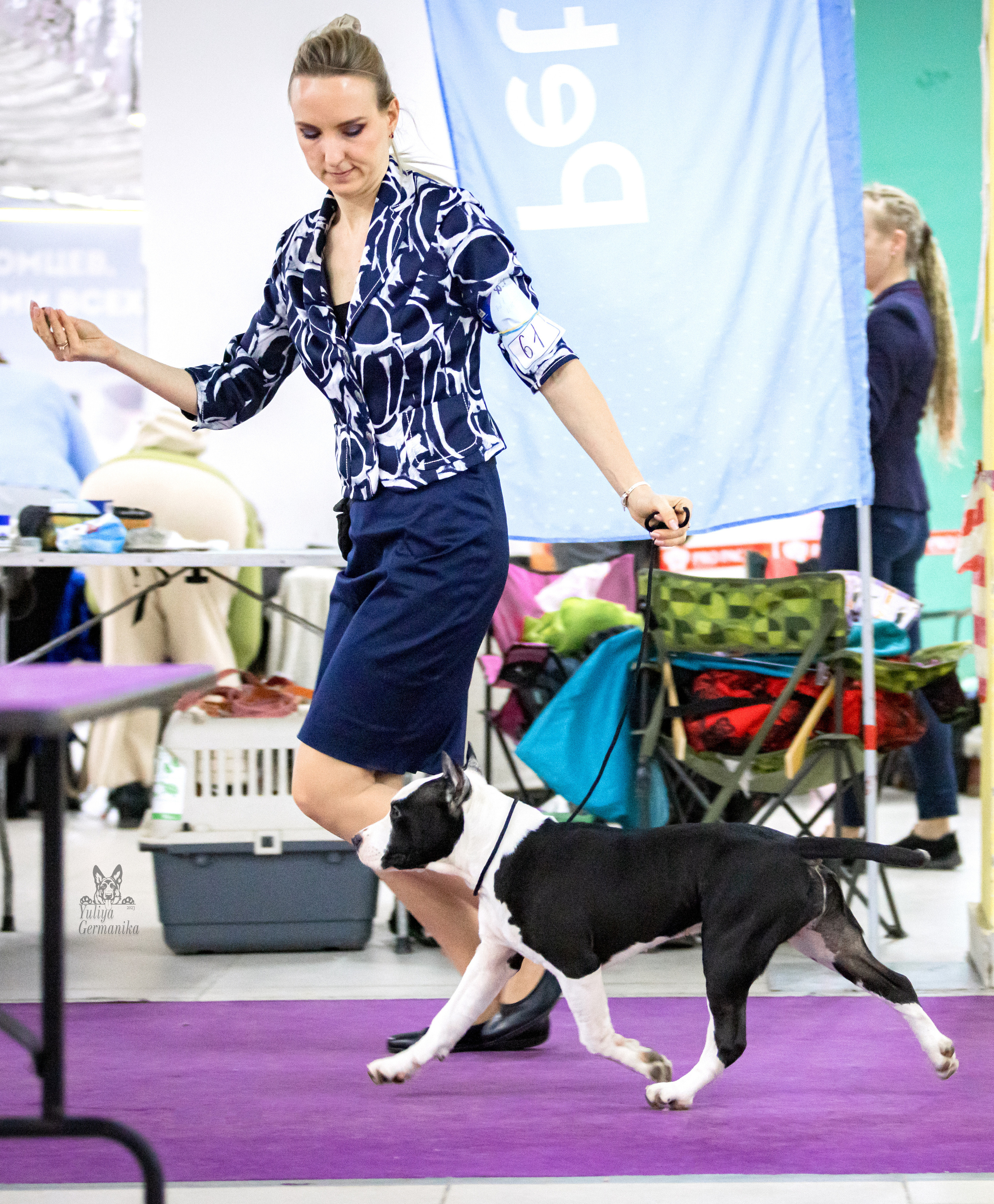 Чайна-Таун 15,21 и 22.01.2023. Фотограф-анималист Юлия Германика