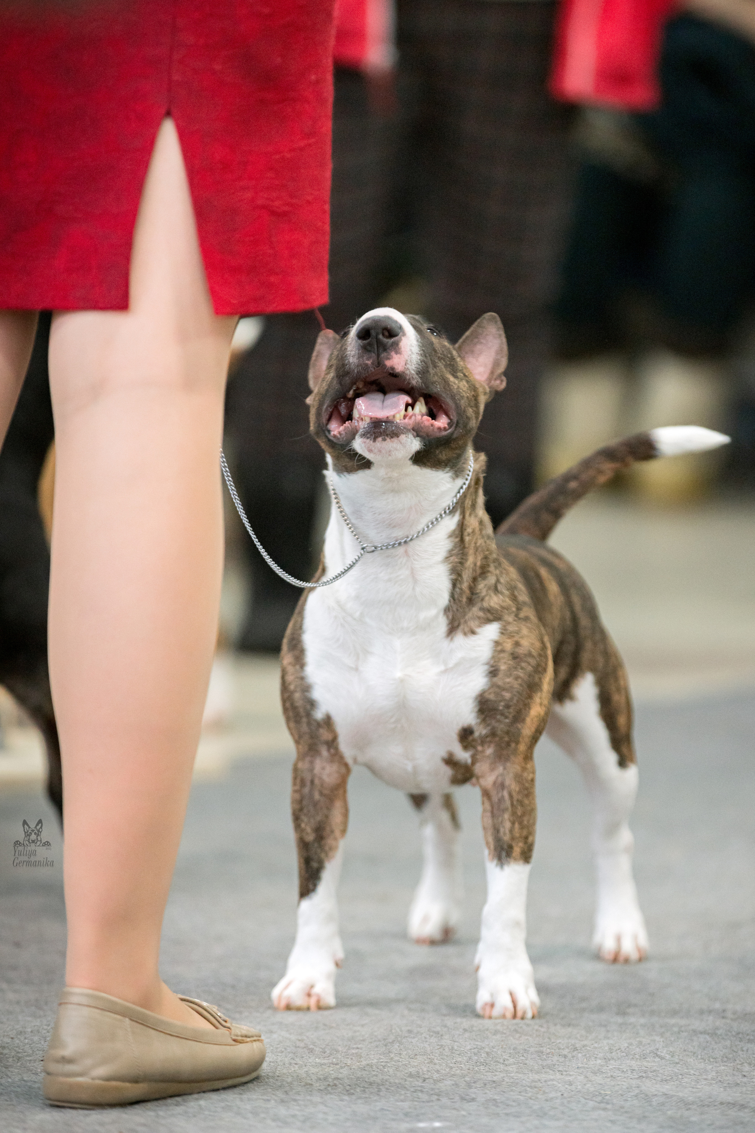 Тверь 19.02.2023. Фотограф-анималист Юлия Германика