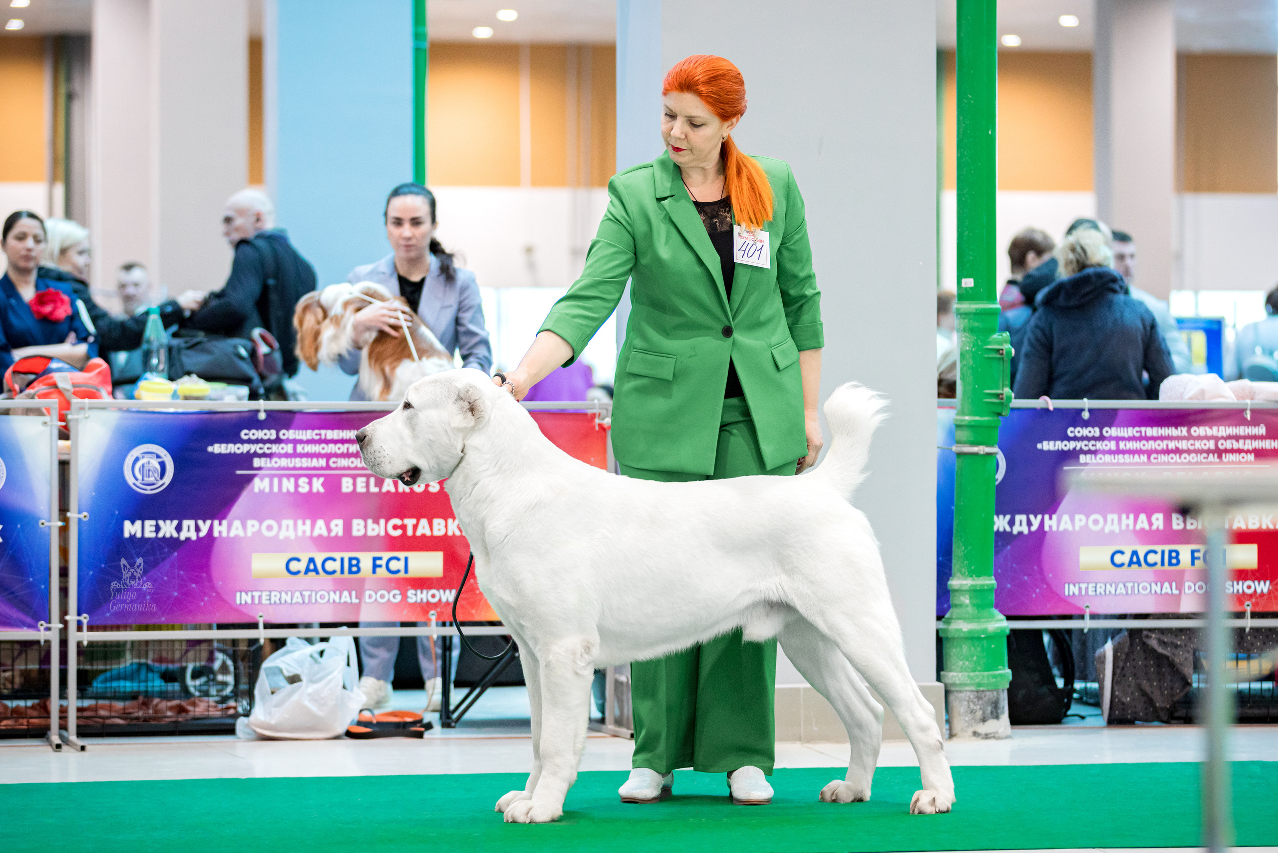 Минск 25-26.02.2023. Фотограф-анималист Юлия Германика